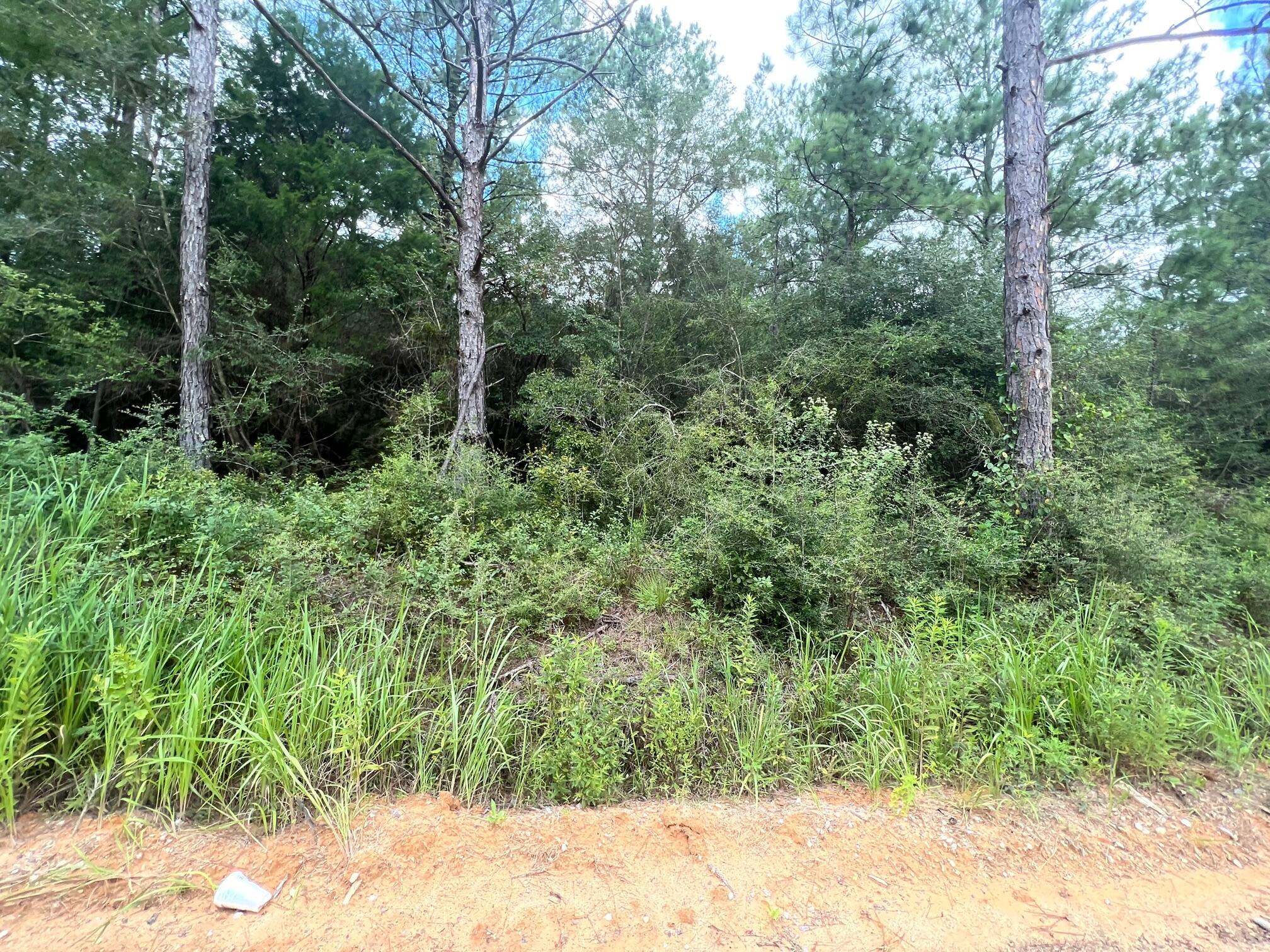 Spring Hill Farms S/D - Land