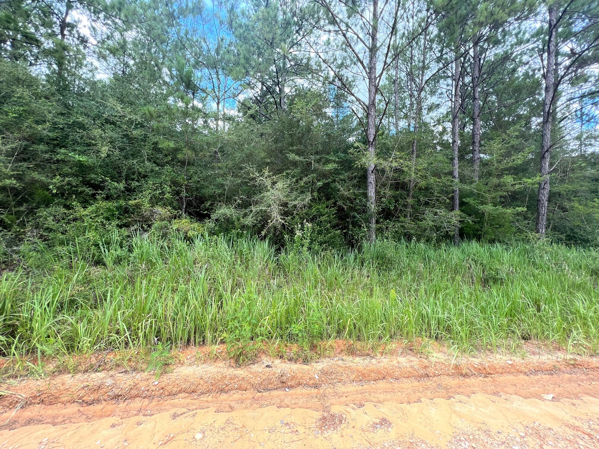 Spring Hill Farms S/D - Land