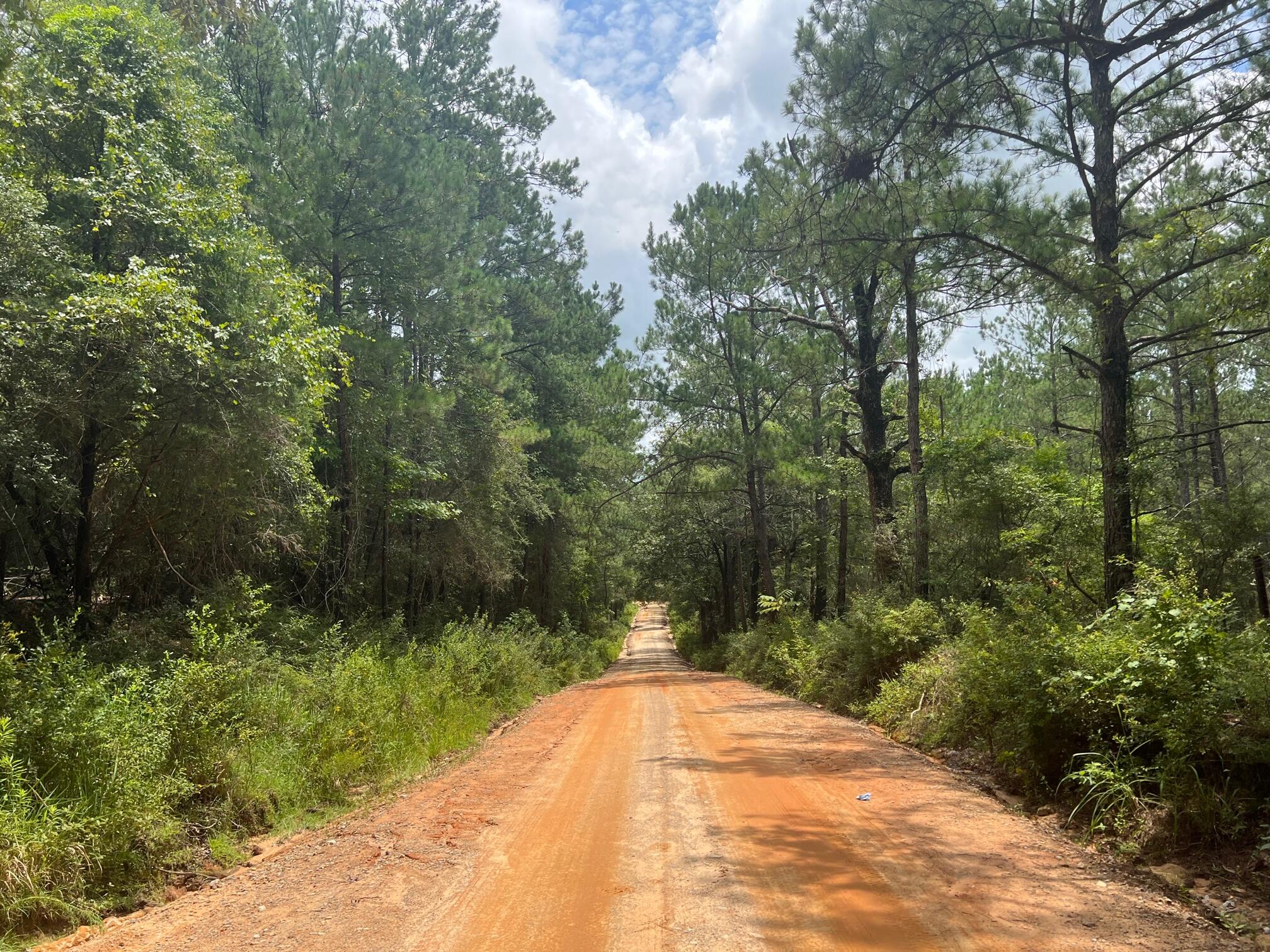 Spring Hill Farms S/D - Land