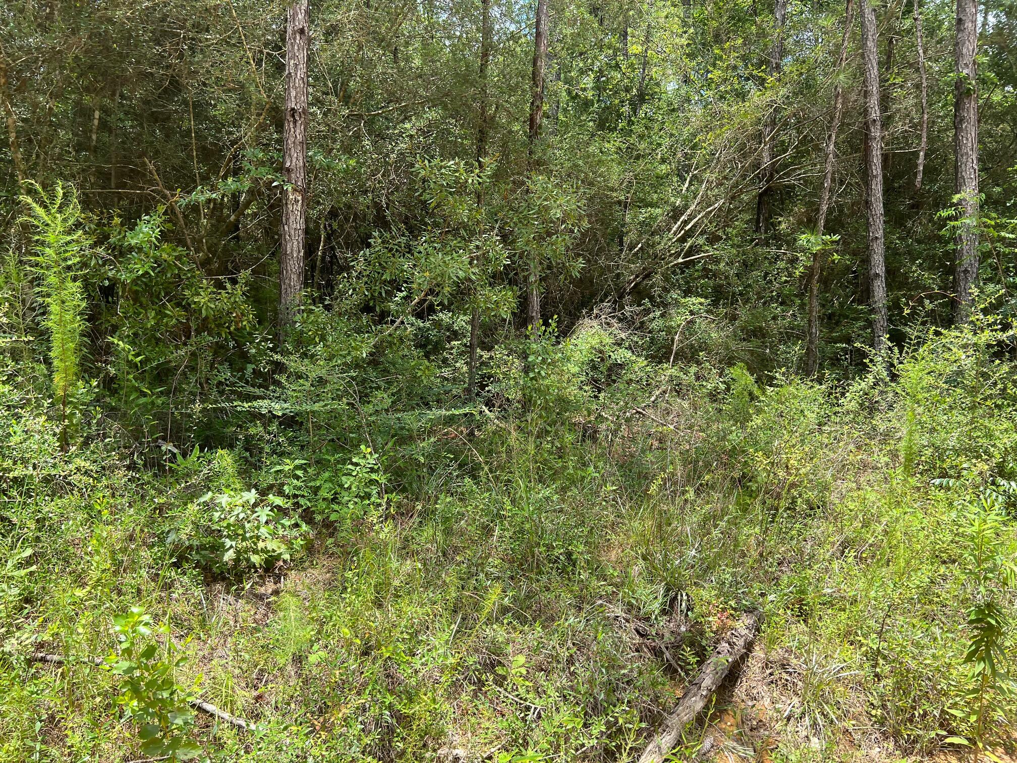 Spring Hill Farms S/D - Land