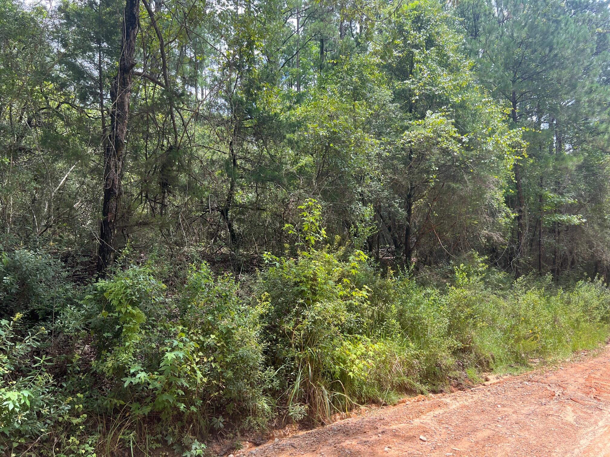 Spring Hill Farms S/D - Land