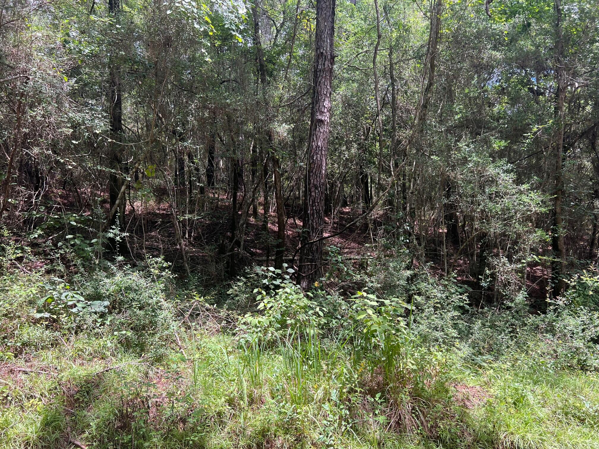 Spring Hill Farms S/D - Land