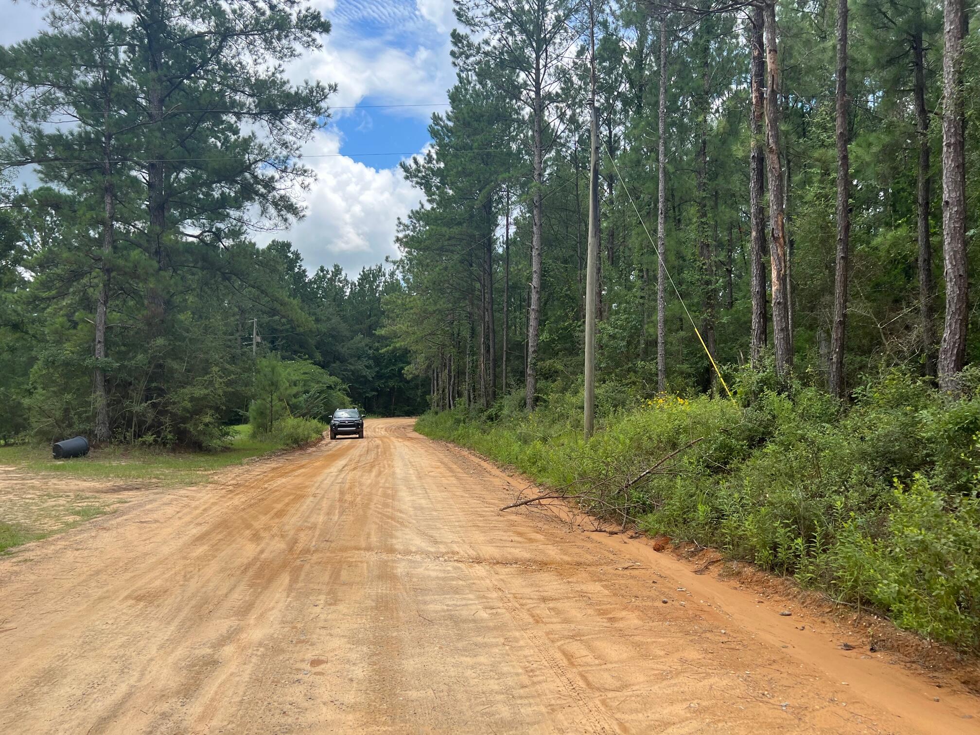 Spring Hill Farms S/D - Land