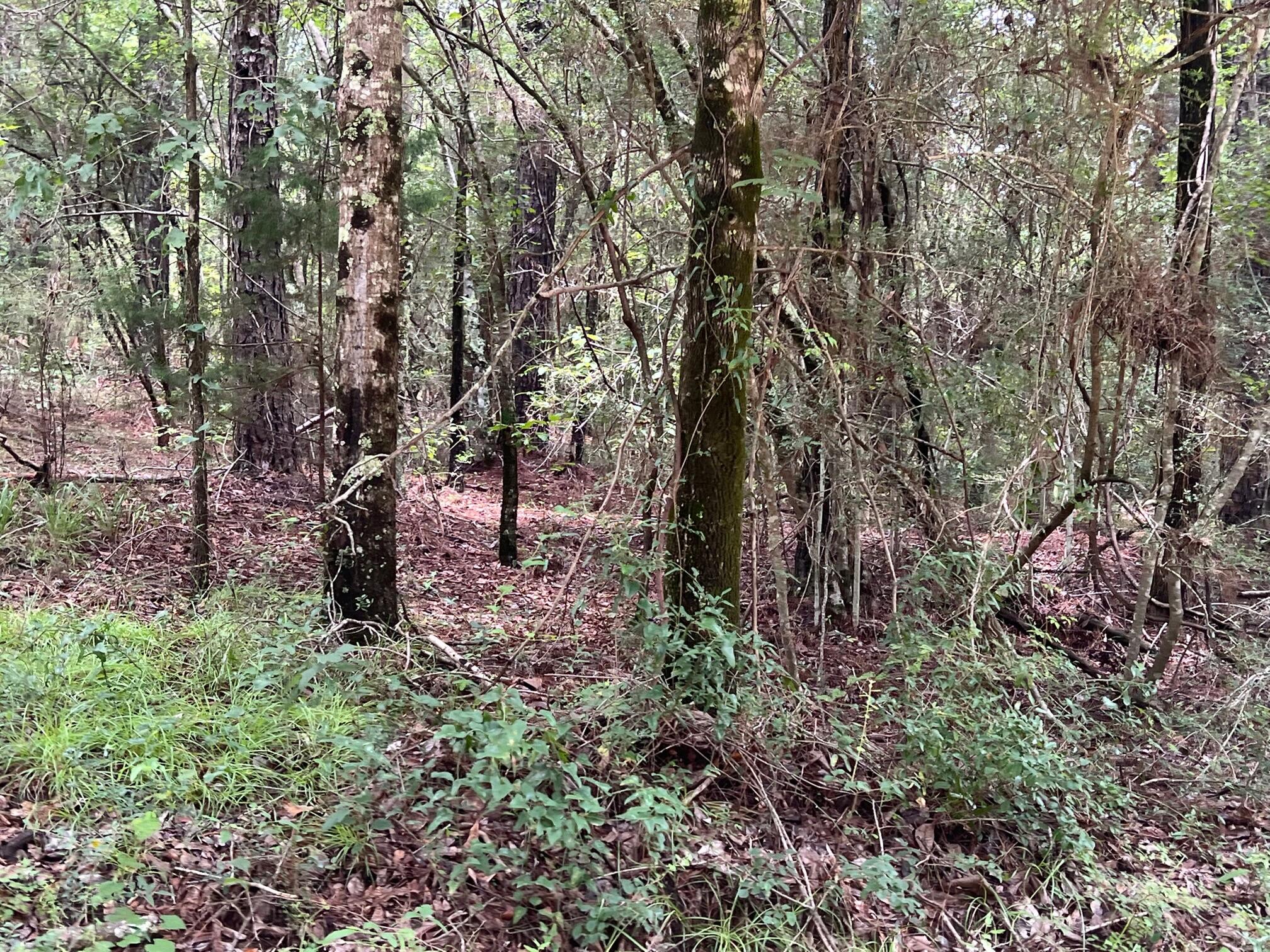 Spring Hill Farms S/D - Land