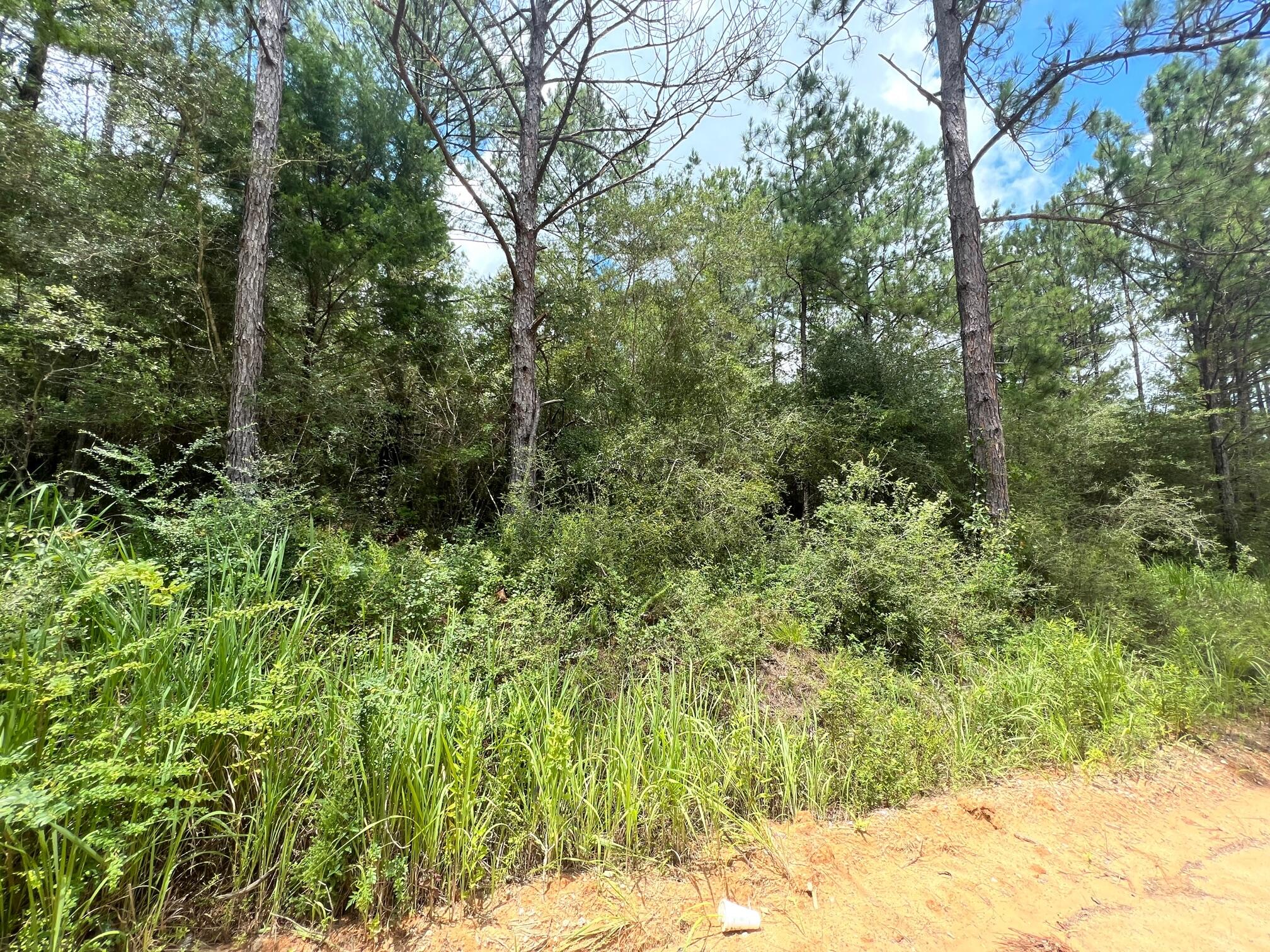 Spring Hill Farms S/D - Land