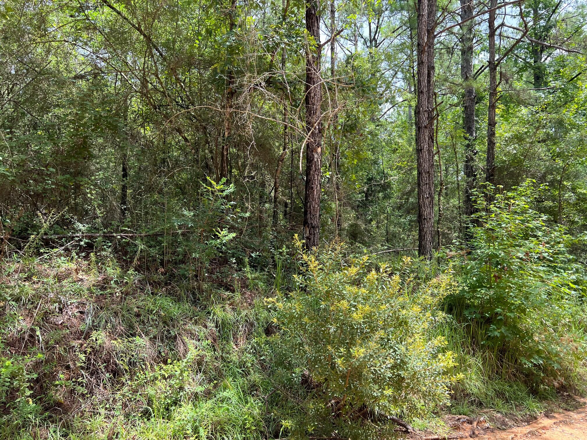 Spring Hill Farms S/D - Land