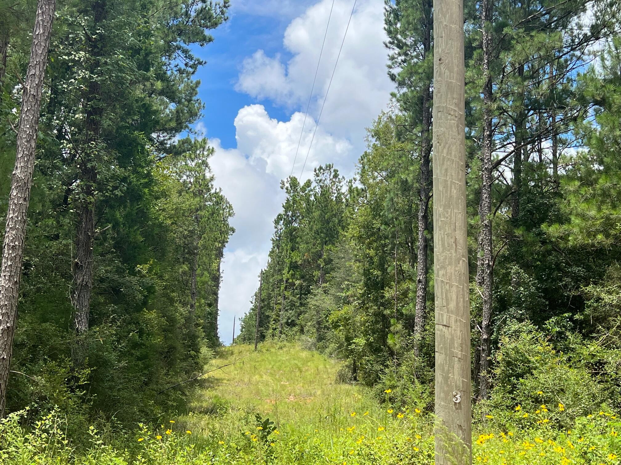 Spring Hill Farms S/D - Land