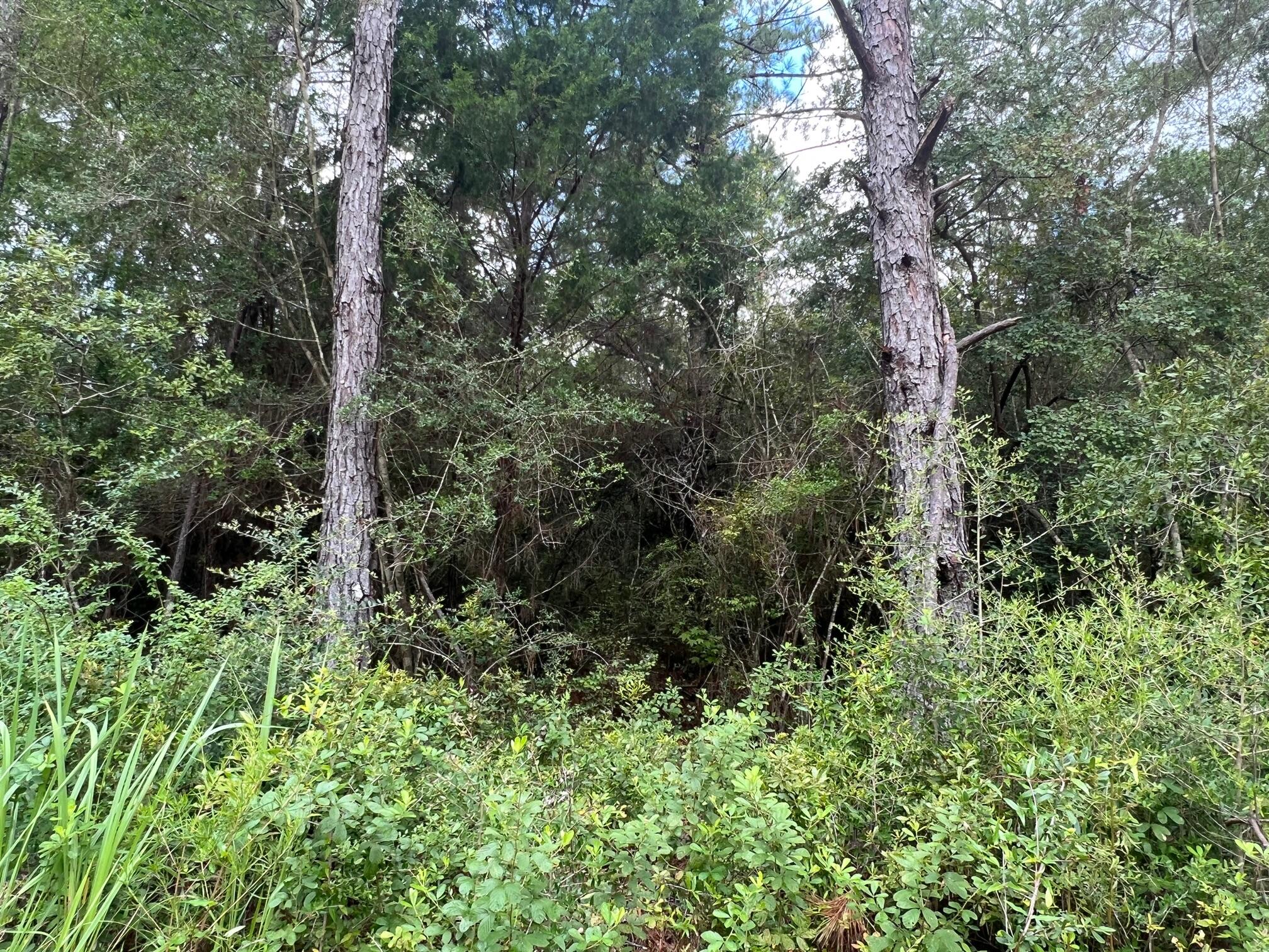 Spring Hill Farms S/D - Land