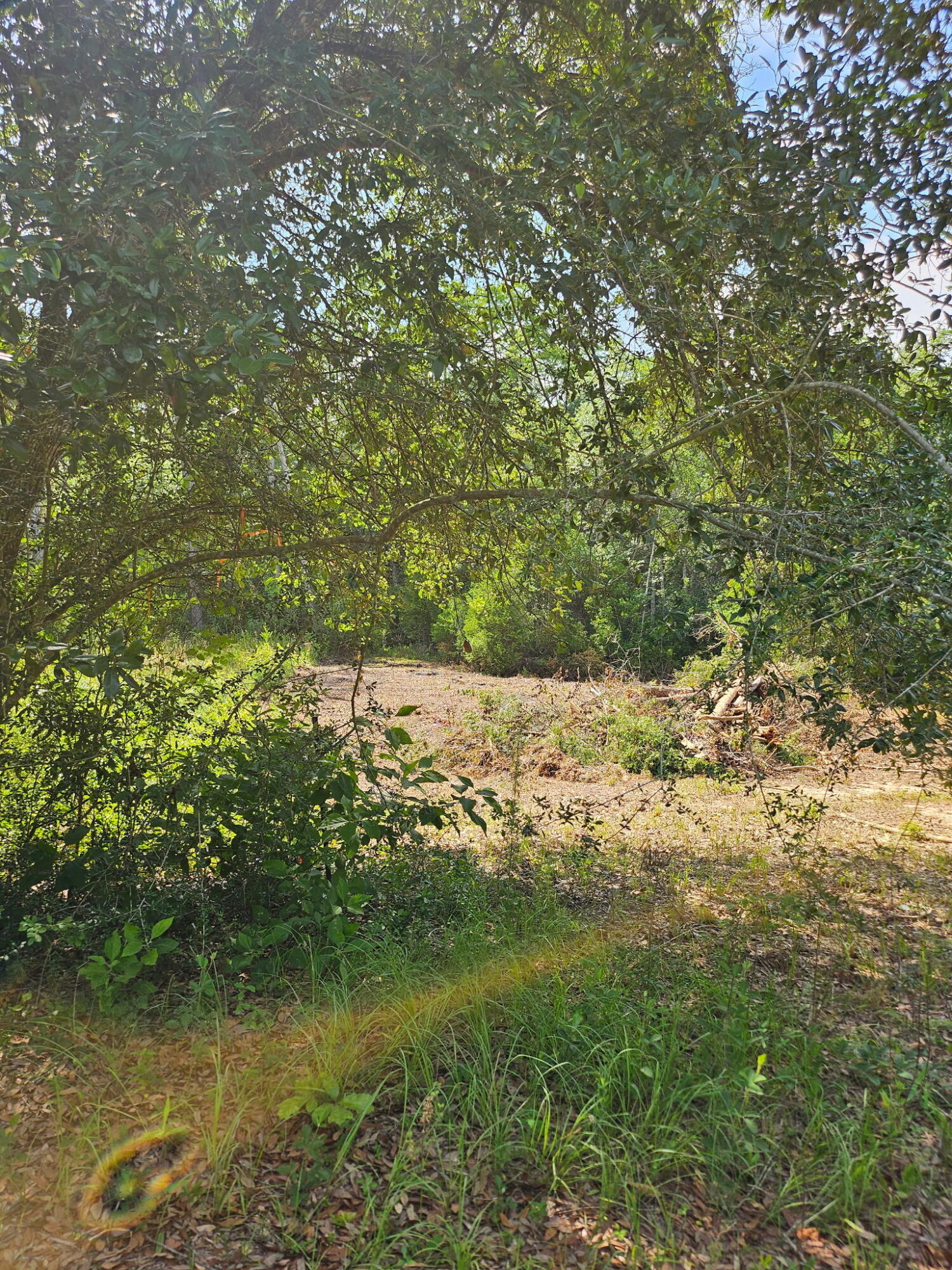Welcome to your dream home site nestled against the beautiful natural backdrop of Arcadia Mill! This vacant land presents a rare opportunity to build your ideal residence in proximity to one of the area's most cherished landmarks. The property comes with a new survey and seller has consulted with engineers on building an off grade nature retreat. Perfect for your retirement home, vacation home, or just a spot to get back to nature and enjoy the view.