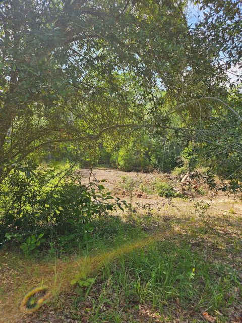Photo of 4957 Timothy Twitchell Drive, Milton, FL 32583 (MLS # 982513) Photo of 4957 Timothy Twitchell Drive, Milton, FL 32583 (MLS # 982513)