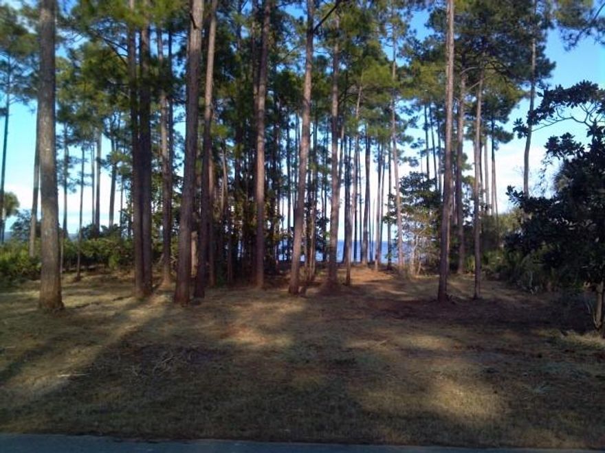 Beautiful, Bay front lot build your dream home and enjoy this awesome view of the Bay!