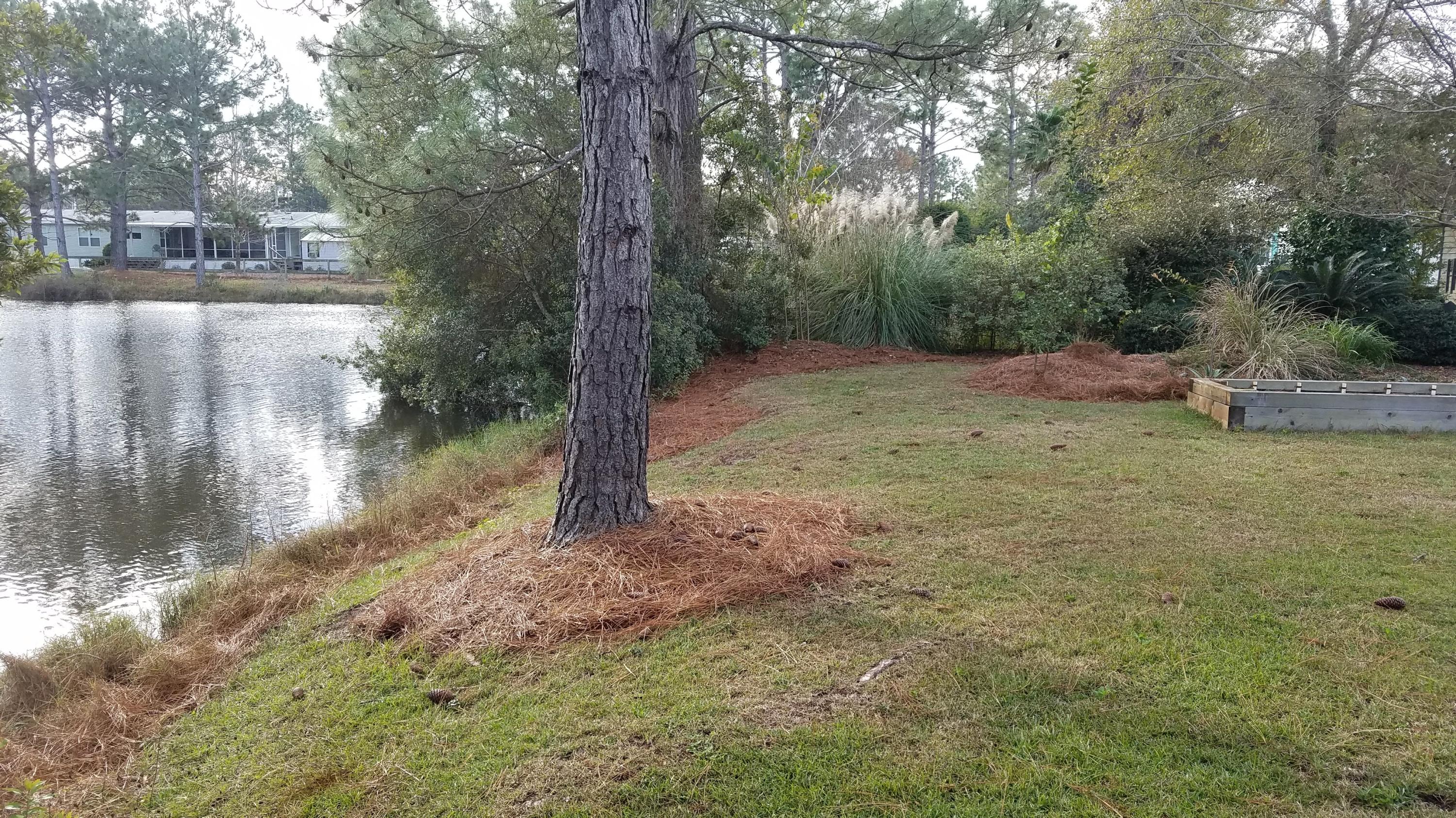 EDGEWOOD TERRACE - Residential