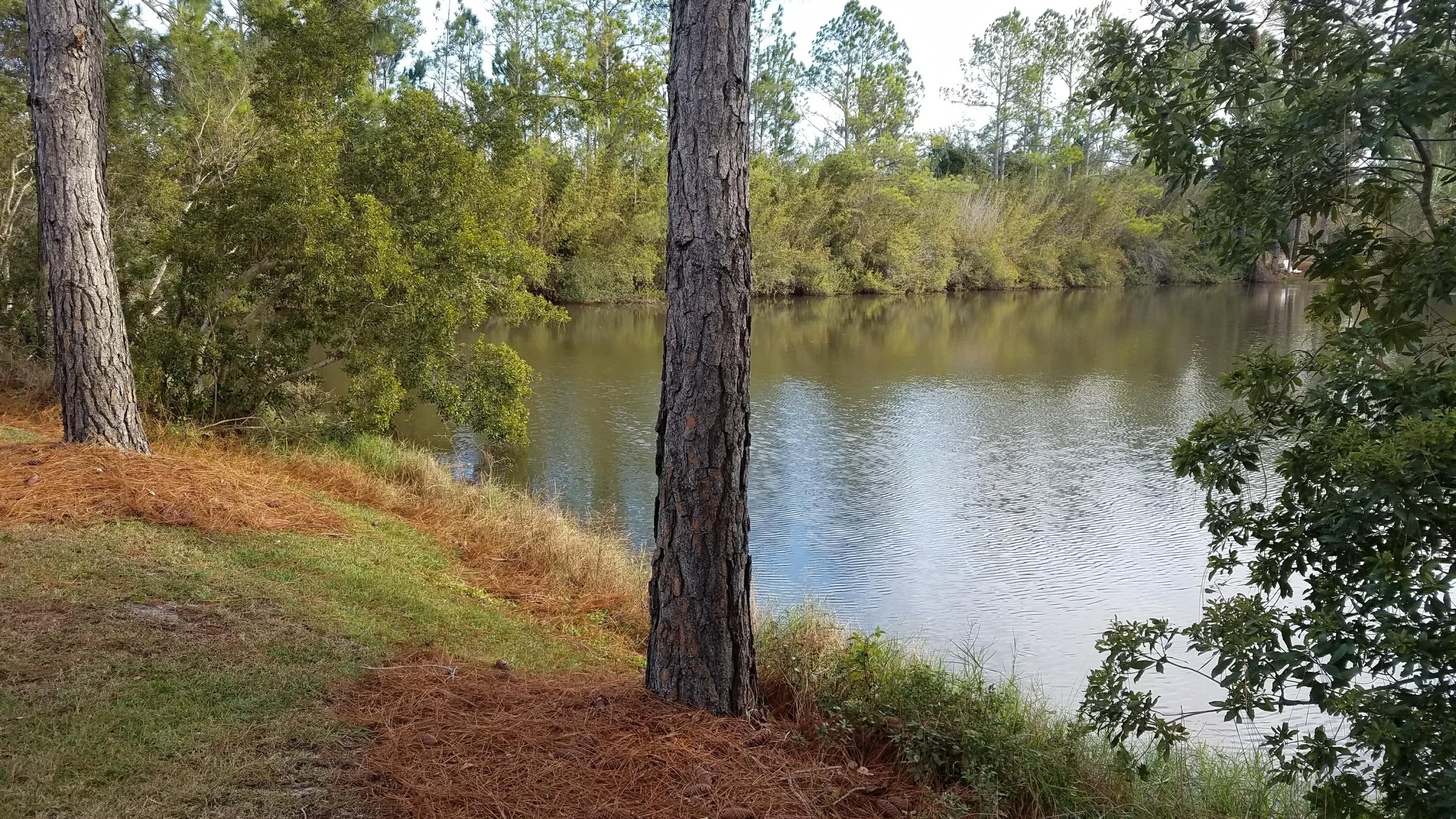 EDGEWOOD TERRACE - Residential