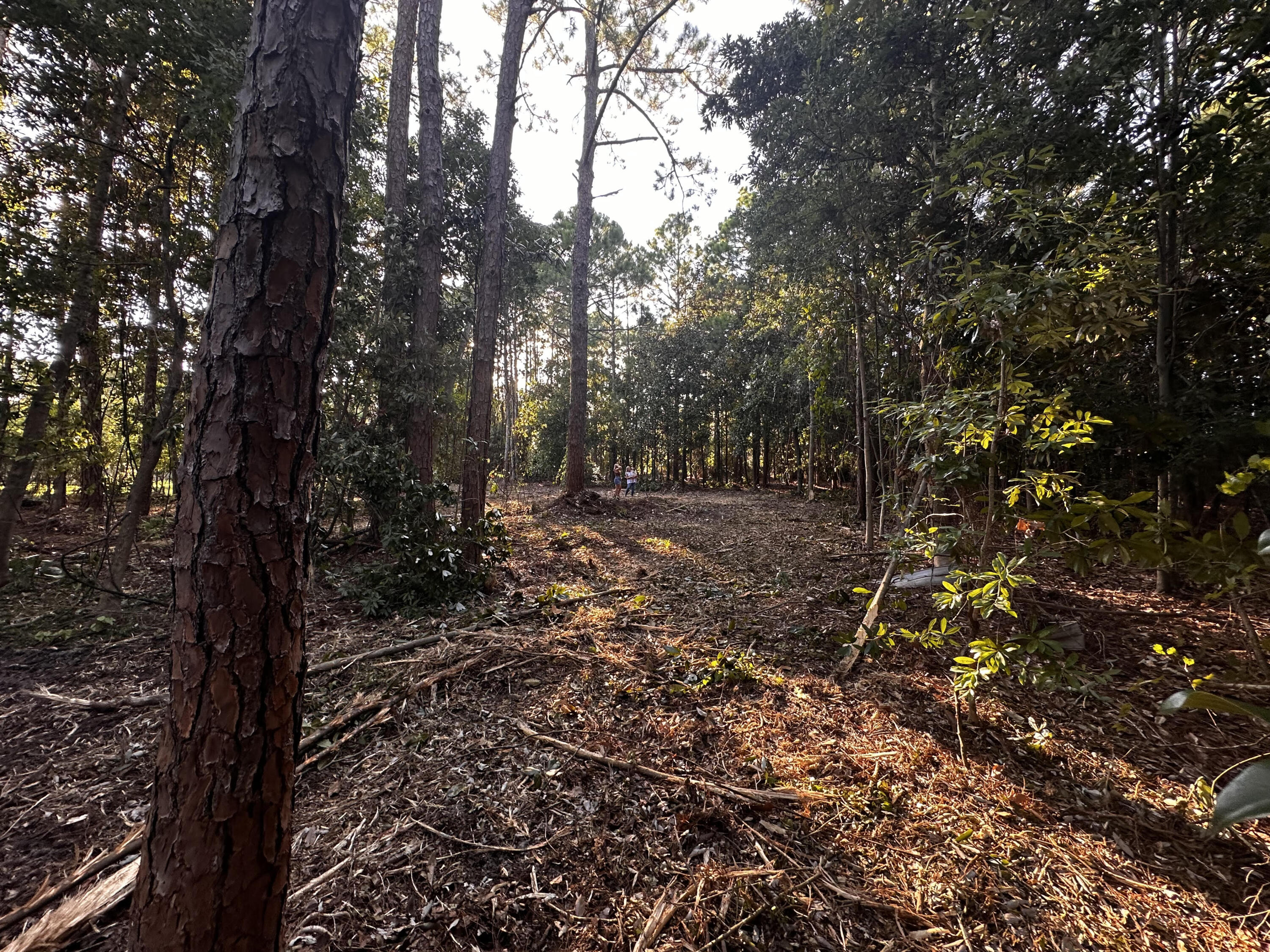 PERDIDO BAY GOLF/COUNTRY CLUB - Land