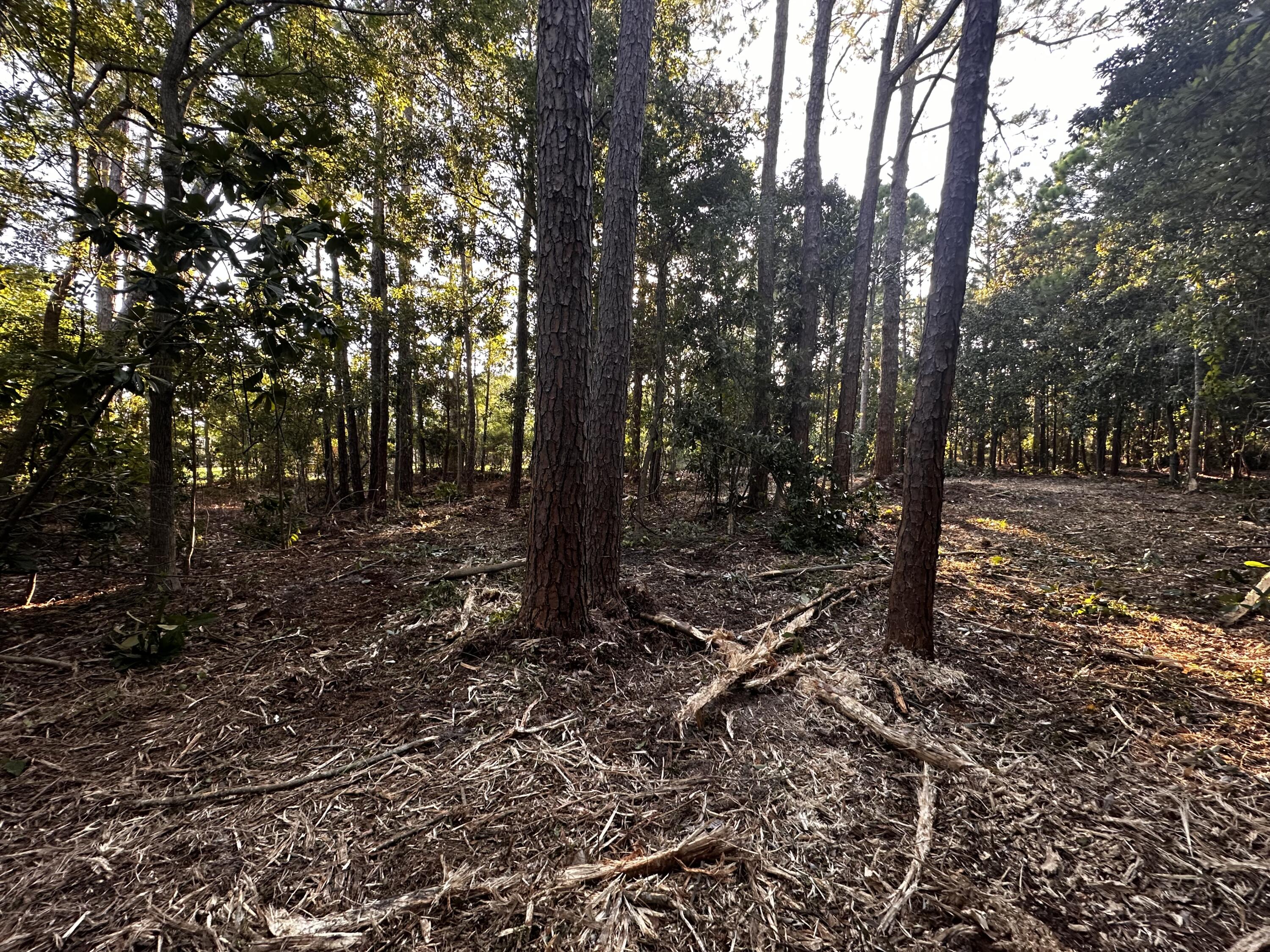 PERDIDO BAY GOLF/COUNTRY CLUB - Land
