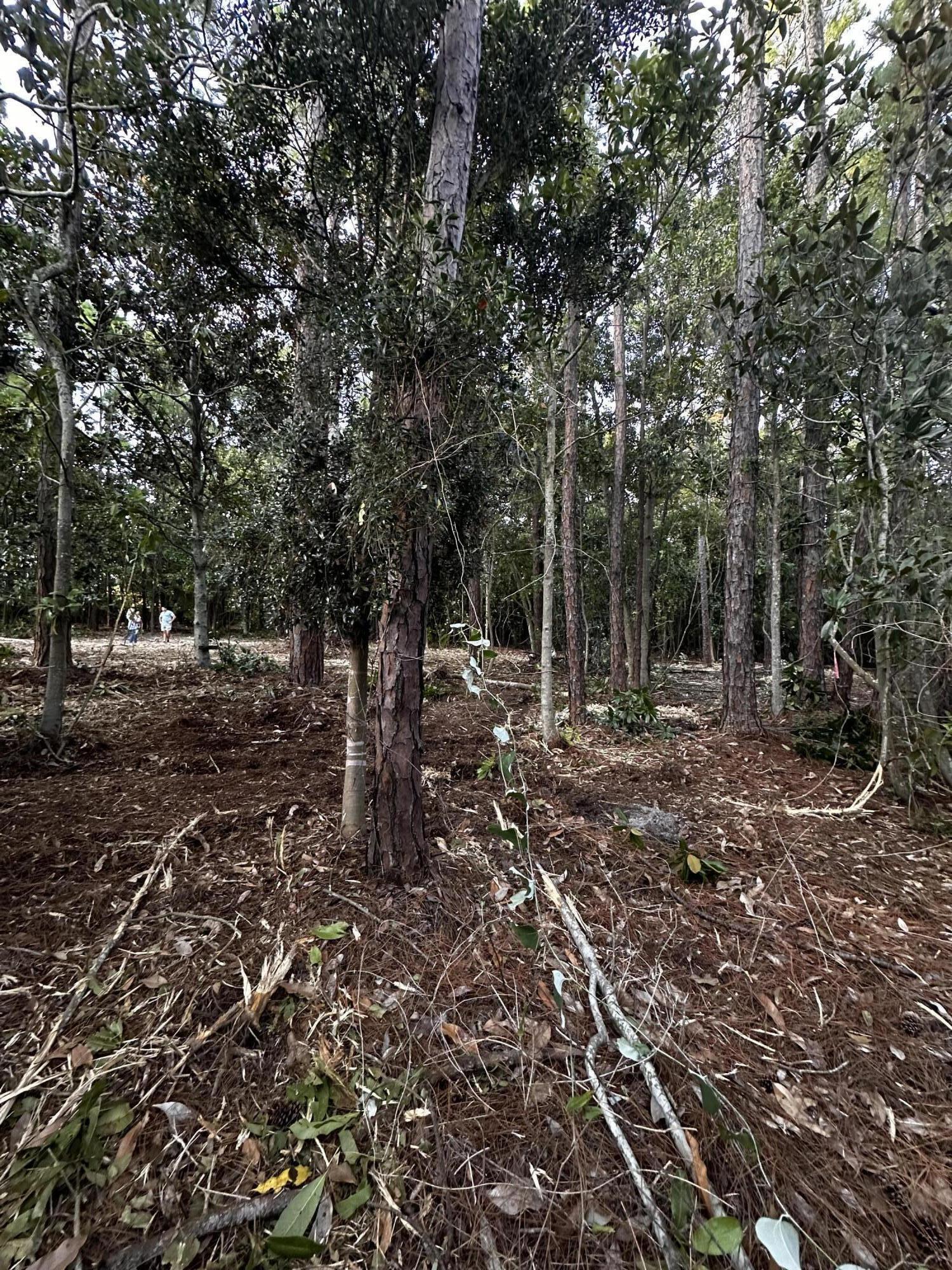 PERDIDO BAY GOLF/COUNTRY CLUB - Land
