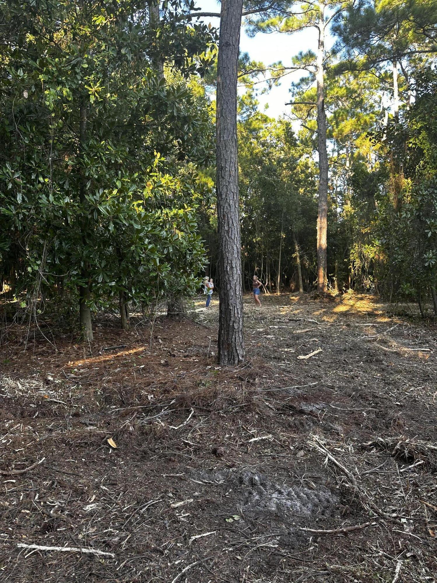 PERDIDO BAY GOLF/COUNTRY CLUB - Land