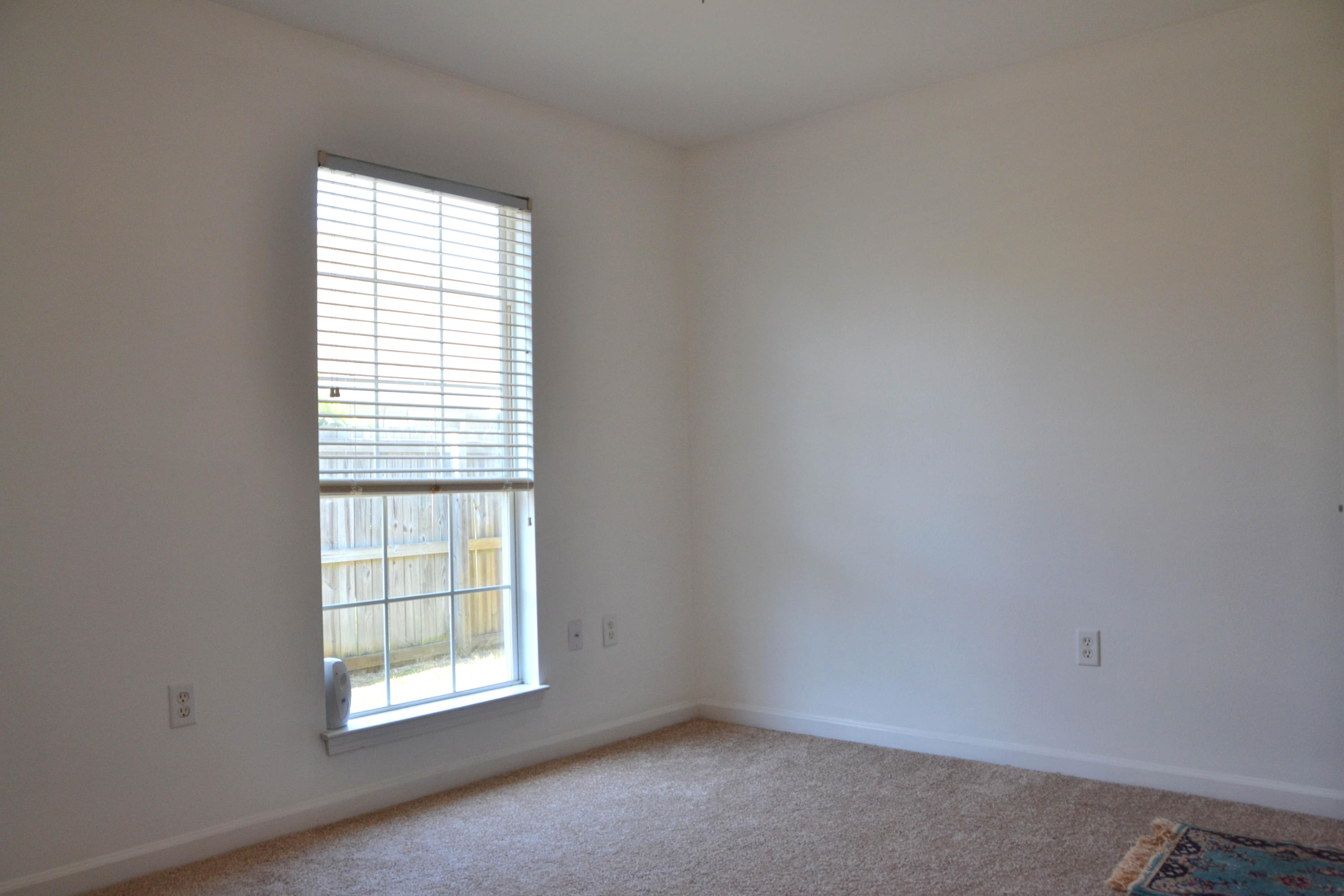 OLDE FLORIDA LAKES - Residential