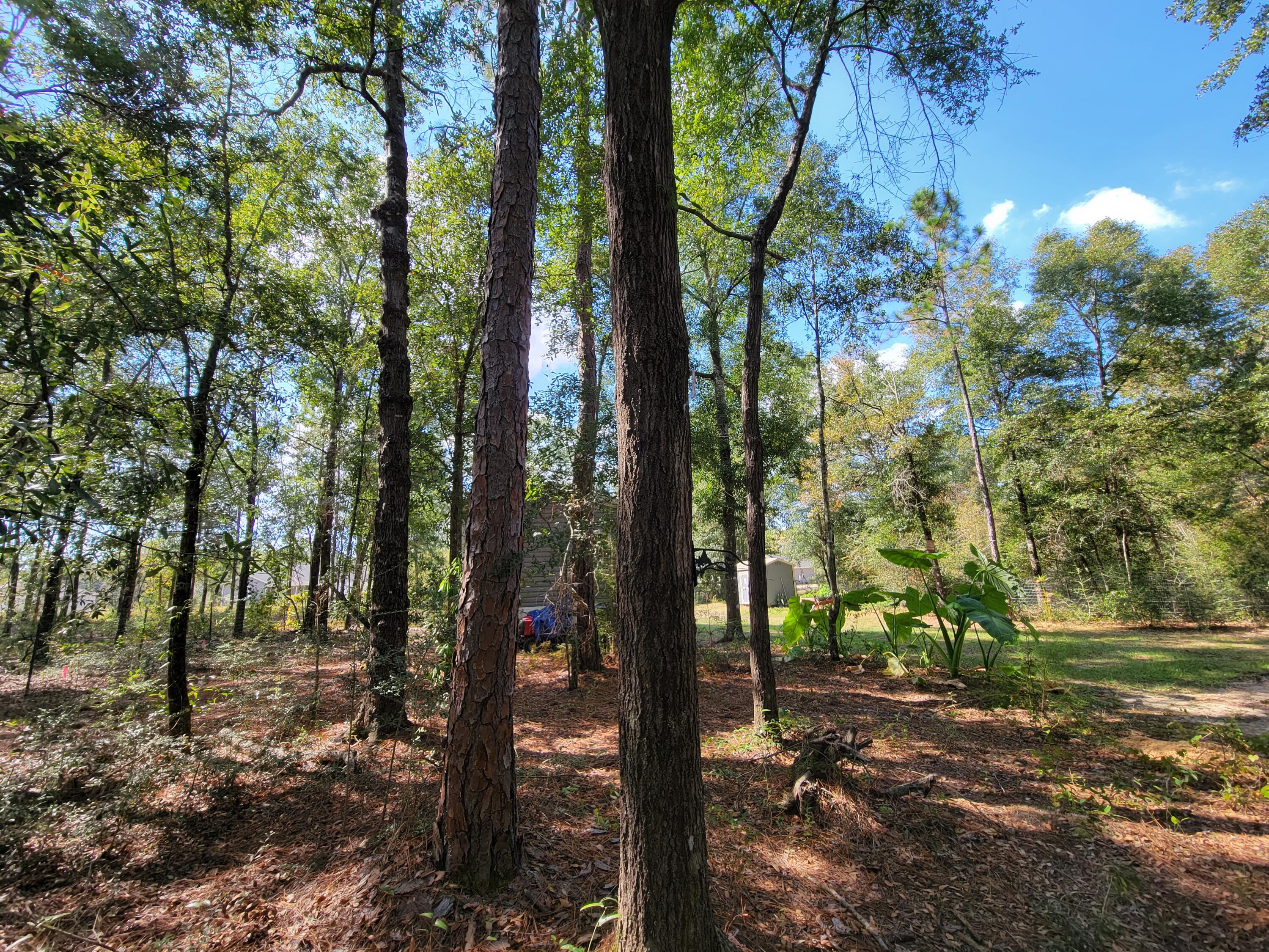 OAKWOOD LAKES ESTATES Unit 7 Oakwood Hills - Residential