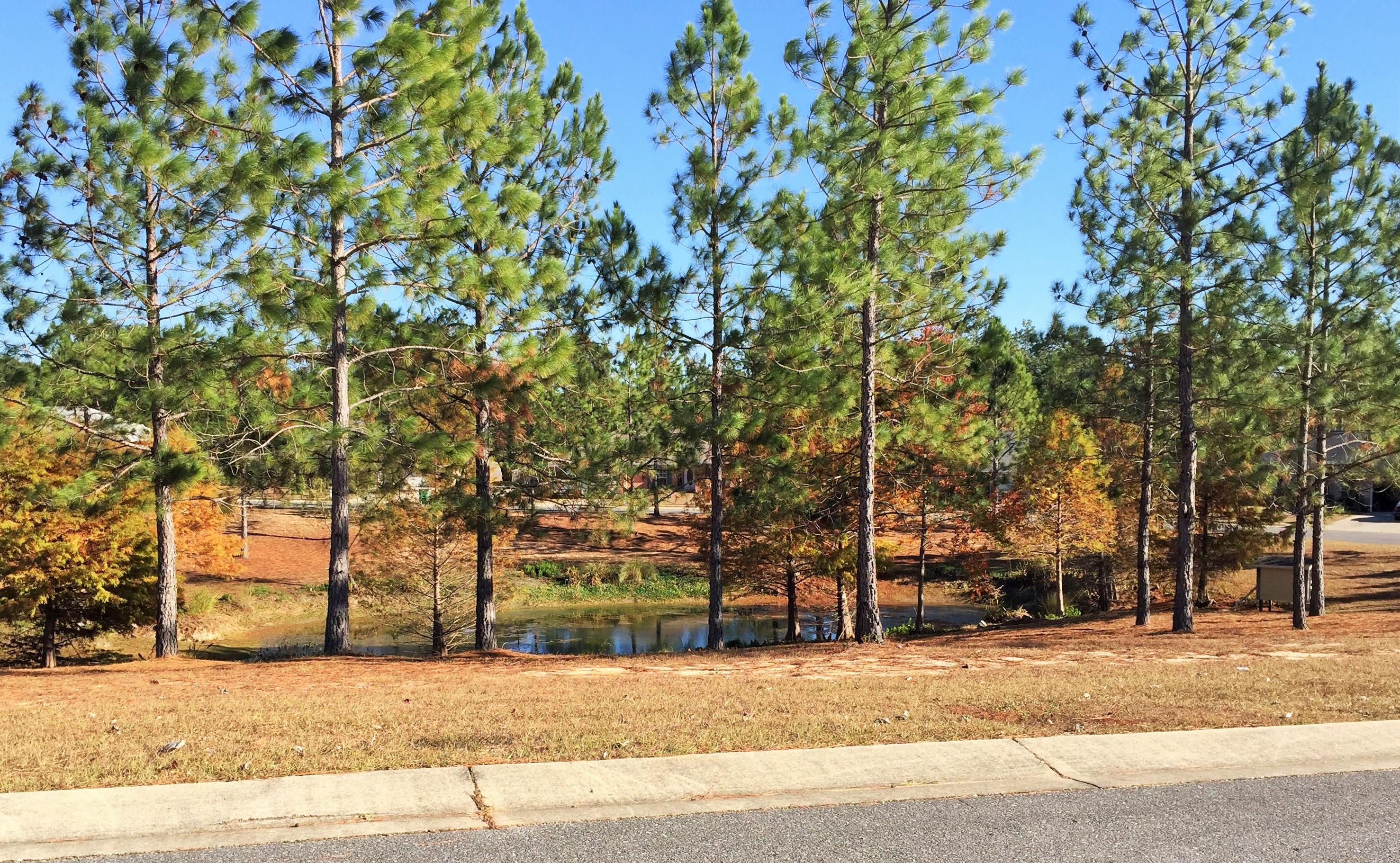 SILVER OAKS PH 2 - Residential