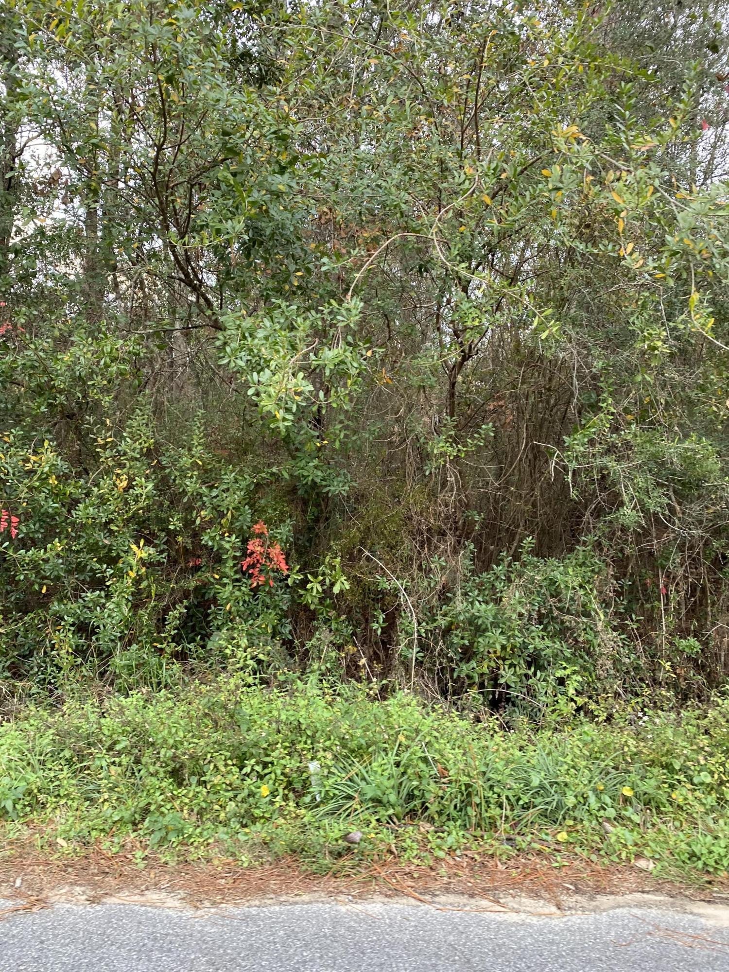 East Milton - Residential