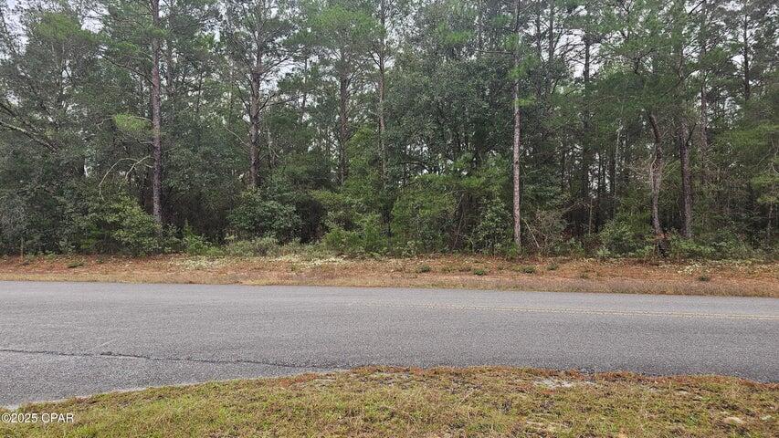 SUNNY HILLS SD - Land