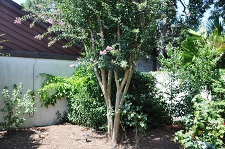 L'Atrium - Residential Lease