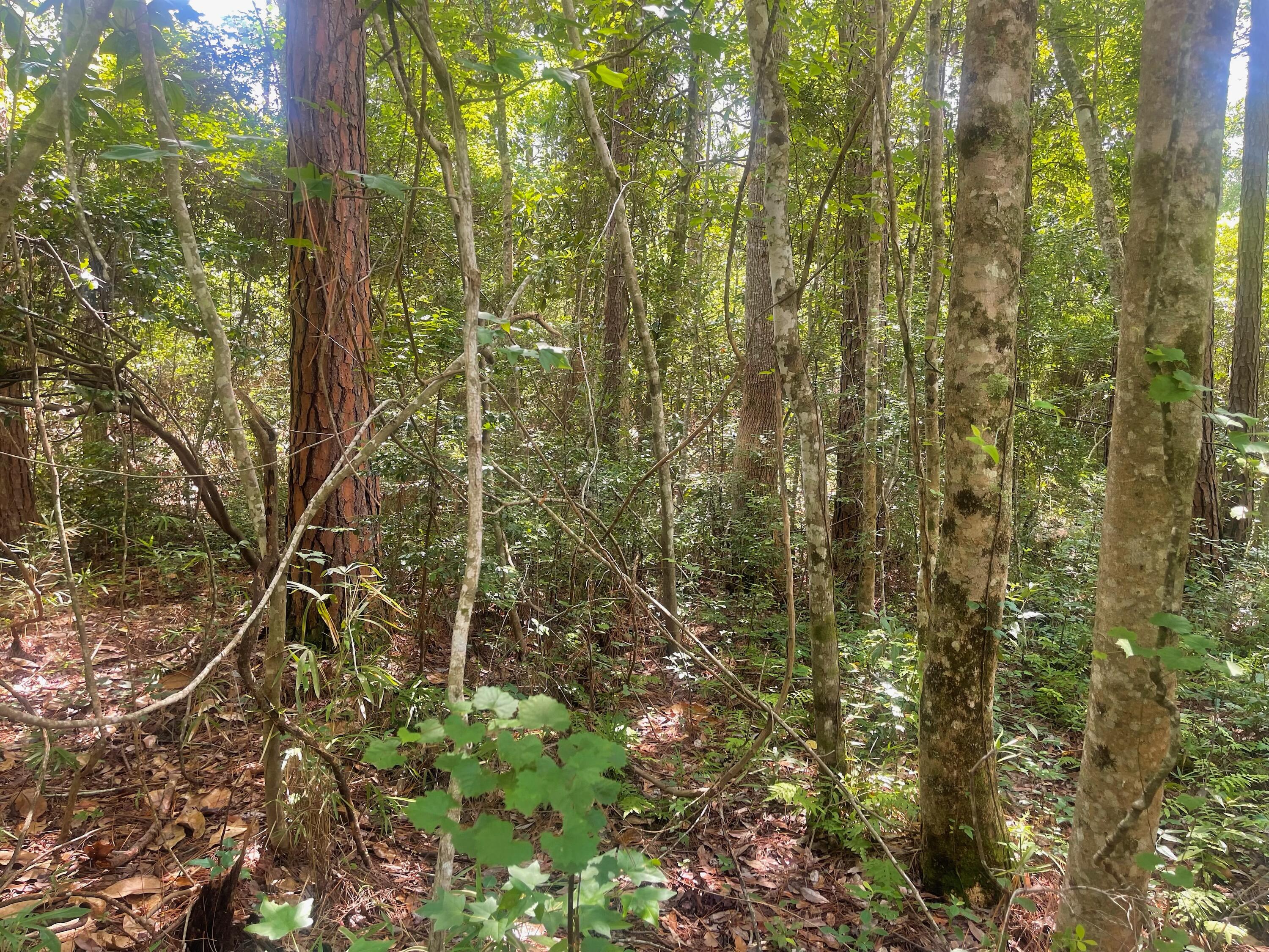 COUNTRY CLUB ESTATES 1 OF CRESTVIEW - Land