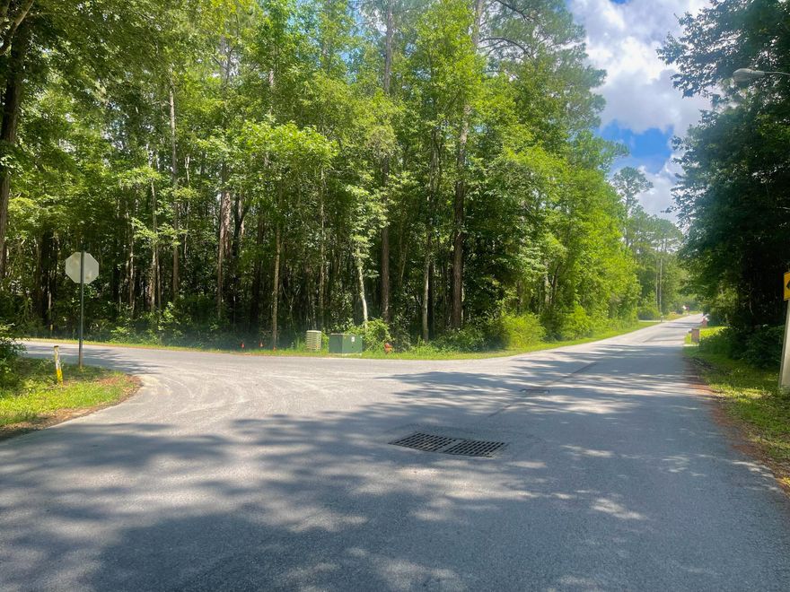 Come build your dream home! High and Dry! A quick walk to Blackwater Golf Course. Hop on a golf cart and ride around the neighborhood or go hit some golf balls at the golf course. Will need septic but sewer is in the works. Electric available on road! Limitless opportunity.