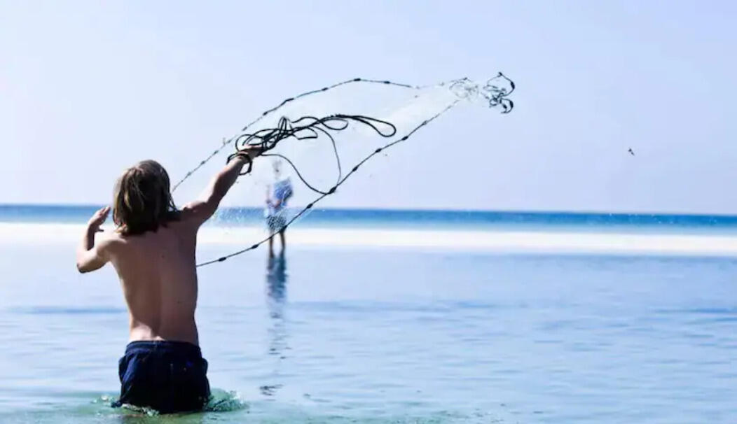 BUENA VISTA - Residential