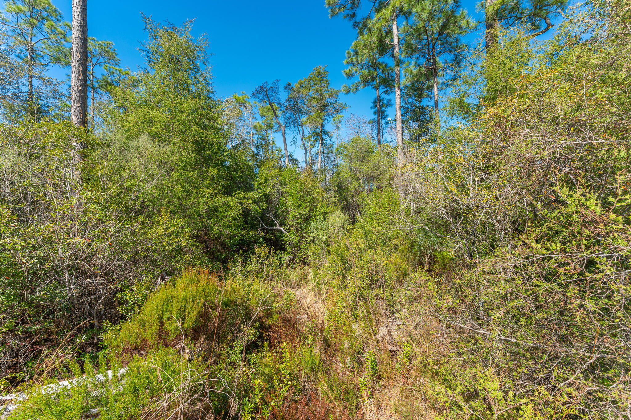 WHISPERING PINES ESTATES - Land