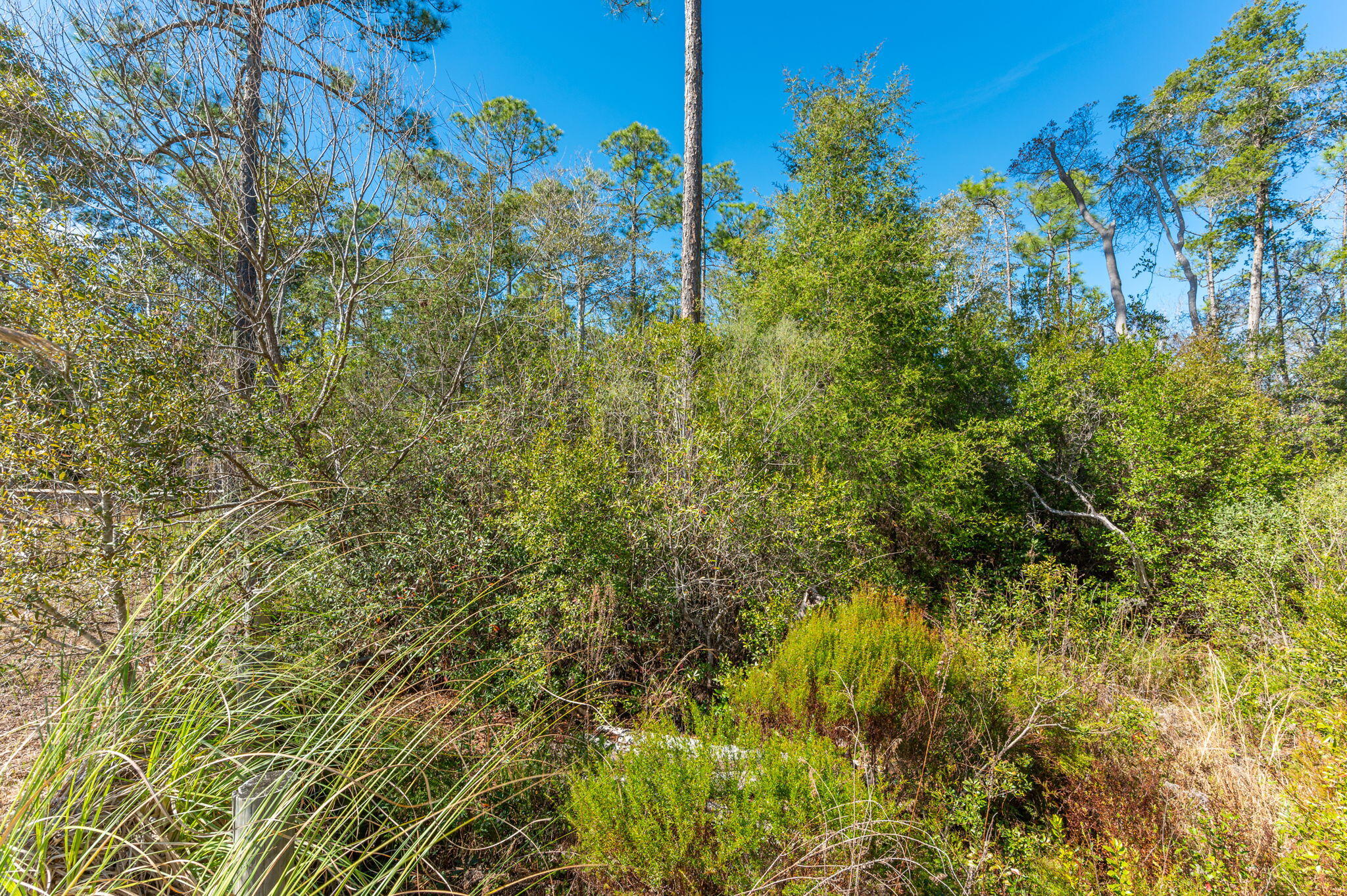 WHISPERING PINES ESTATES - Land
