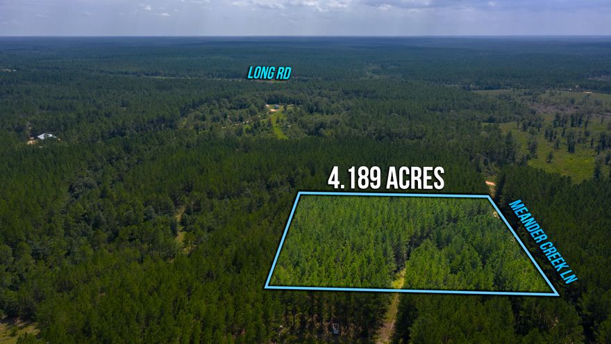 Back on market no fault to seller! Bring your building plans or just your 4 wheeler and hunting gear. Walton plantation is a highly sought after gated community designed to fit the needs of outdoor enthusiast. This is the perfect getaway location for Atv riding, hiking trails, fishing, and hunting. The community features a hunting club, chapel, public restrooms and a fishing pond.