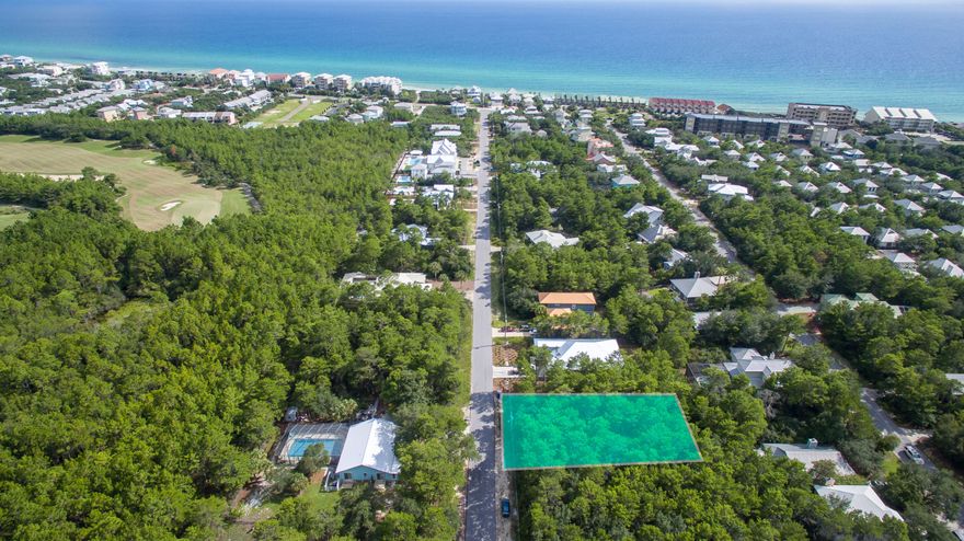 Great lot large enough to accommodate a home, carriage house and pool on Seacrest Drive. Public beach access is just down the street (at the end of Seacrest Drive). Quiet street with cul-de-sac and very little traffic and easy access to Camp Creek Parkway and 98. This is a fabulous location near neighboring upscale communities Rosemary & Alys Beach. No HOA dues and easy access to bike path and beach offering the best dining, unique boutique shopping, art galleries, art festivals, outdoor concerts, bike paths and some of the most challenging golf courses the gulf coast has to offer. Easy access to Hwy 98, allowing you to explore the nearby cities of Destin or Panama City Beach, as well as, the Northwest Florida Beaches International Airport. Seller is a licensed Real Estate Agent.