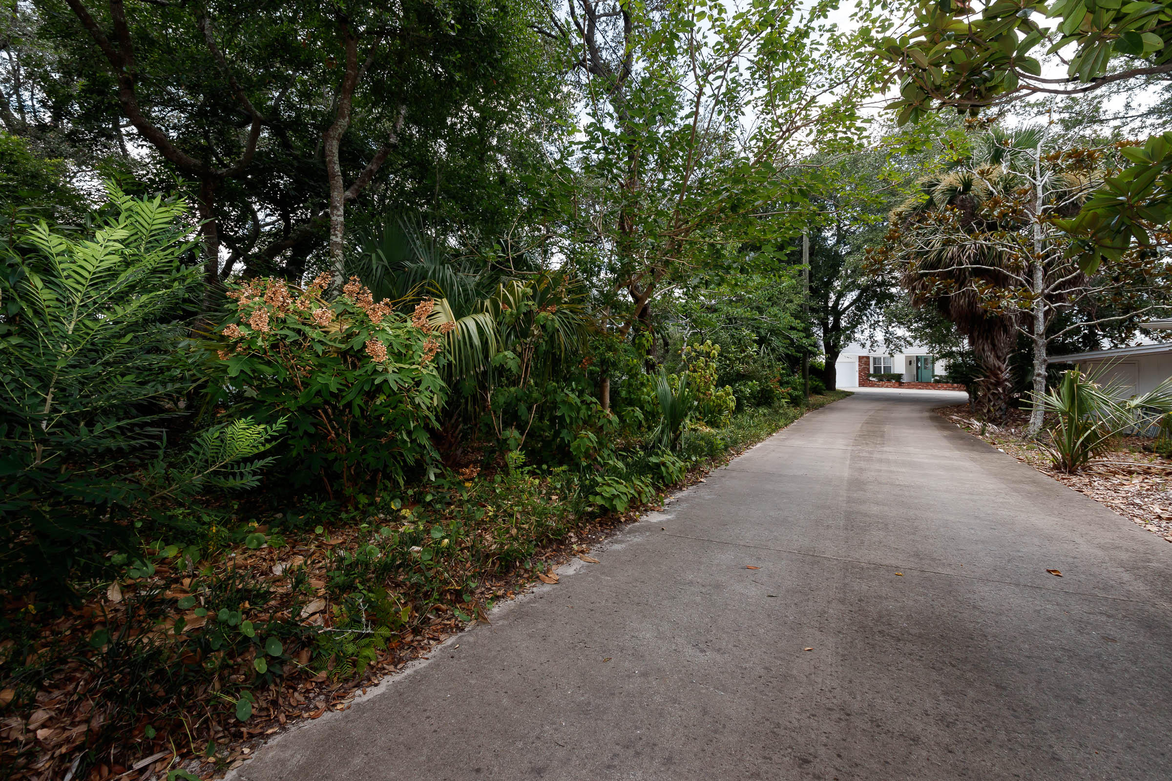 ELLIOTTS POINT - Residential