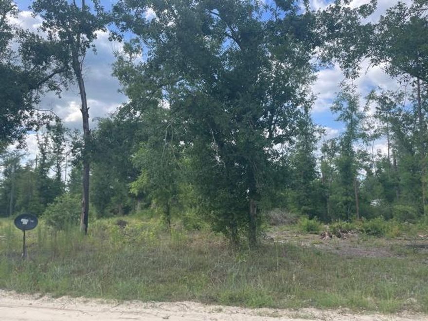 THIS PEACEFUL LAND IS READY FOR YOUR NEW BUILD OR MOBILE HOME! At nearly half an acre, this huge corner lot boasts beautiful trees and already has electricity, well, AND septic tank. Across from this lovely lot is a beautiful untouched forest for your viewing pleasure. This land is ready for you to make it HOME and at an unbeatable price!