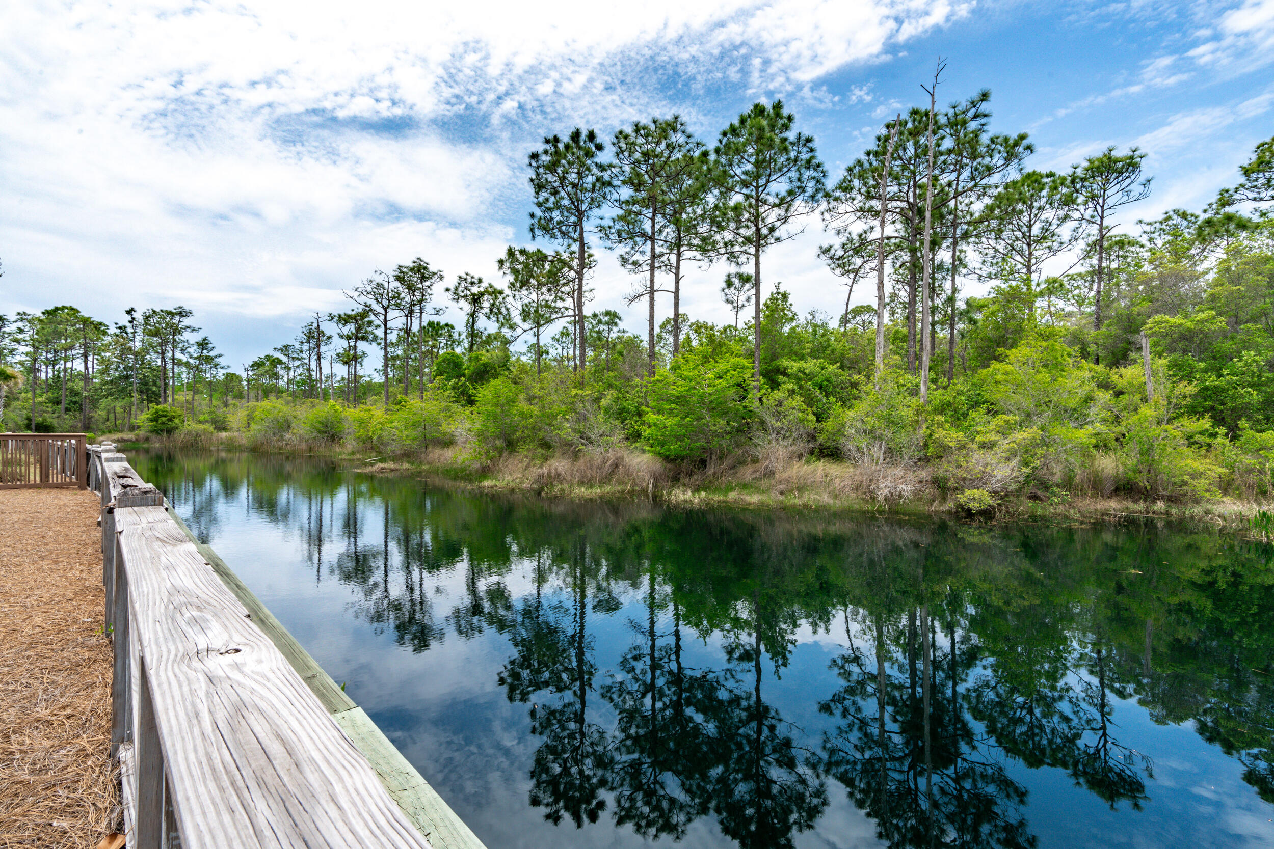 Naturewalk at Seagrove - Residential