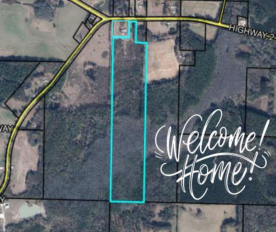 Welcome home to wide open spaces! This beautiful nearly 52-acre property offers peace, privacy, and plenty of room to roam. The well-maintained manufactured home features a full-length covered porch, spacious living room, and a split-bedroom floor plan with like-new carpeting throughout. The large primary suite includes a double-sink vanity and walk-in shower, while the kitchen provides abundant cabinet space. Step outside and enjoy the shade of mature pecan trees, a thriving fig tree, and grapevines ready for picking. Behind the home, you'll find approximately 12 acres of pines planted in 2017, perfect for added seclusion or future income potential. Located on a paved road near the Alabama state line, this property truly offers the best of country living.