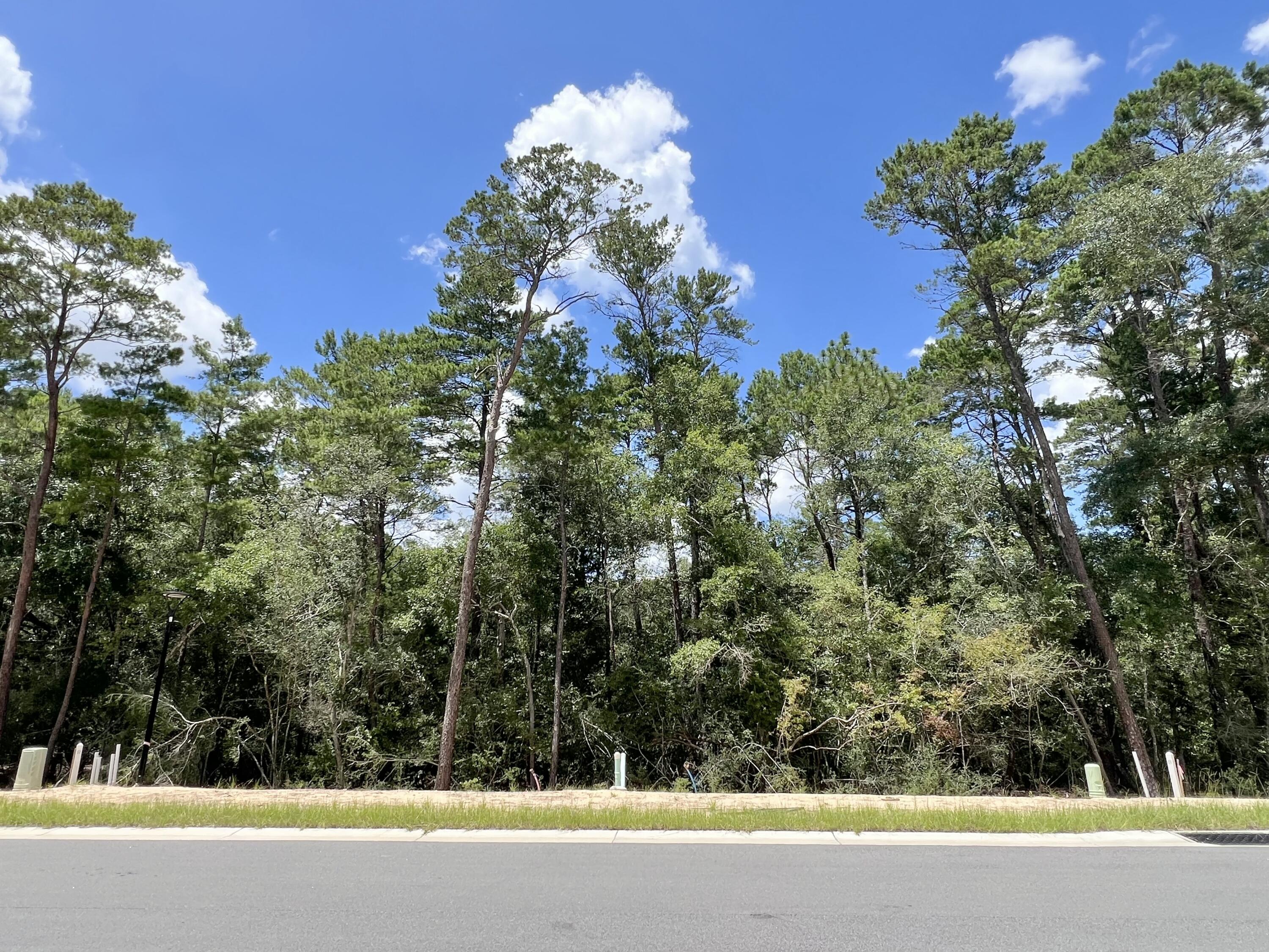 Beautiful lot in the desirable and new Deer Moss Creek Phase 11! Deer Moss Creek(r) is an 1,100- acre, master-planned, mixed-use community in Niceville, FL. Community plans include a nature trail, bike lanes, parks, pools, office and retail space. Sidewalks are 5' wide and home plans must be approved by the Town Architect. Build your dream home in the beautiful Deer Moss Creek community!