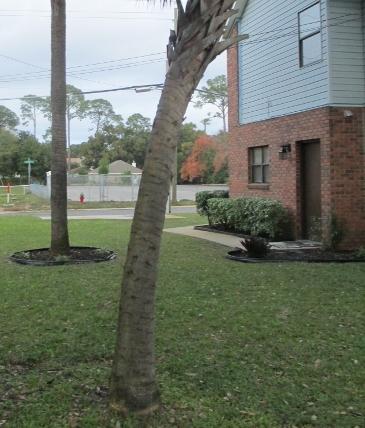 STUDIO T/H LOT 16 - Residential Lease