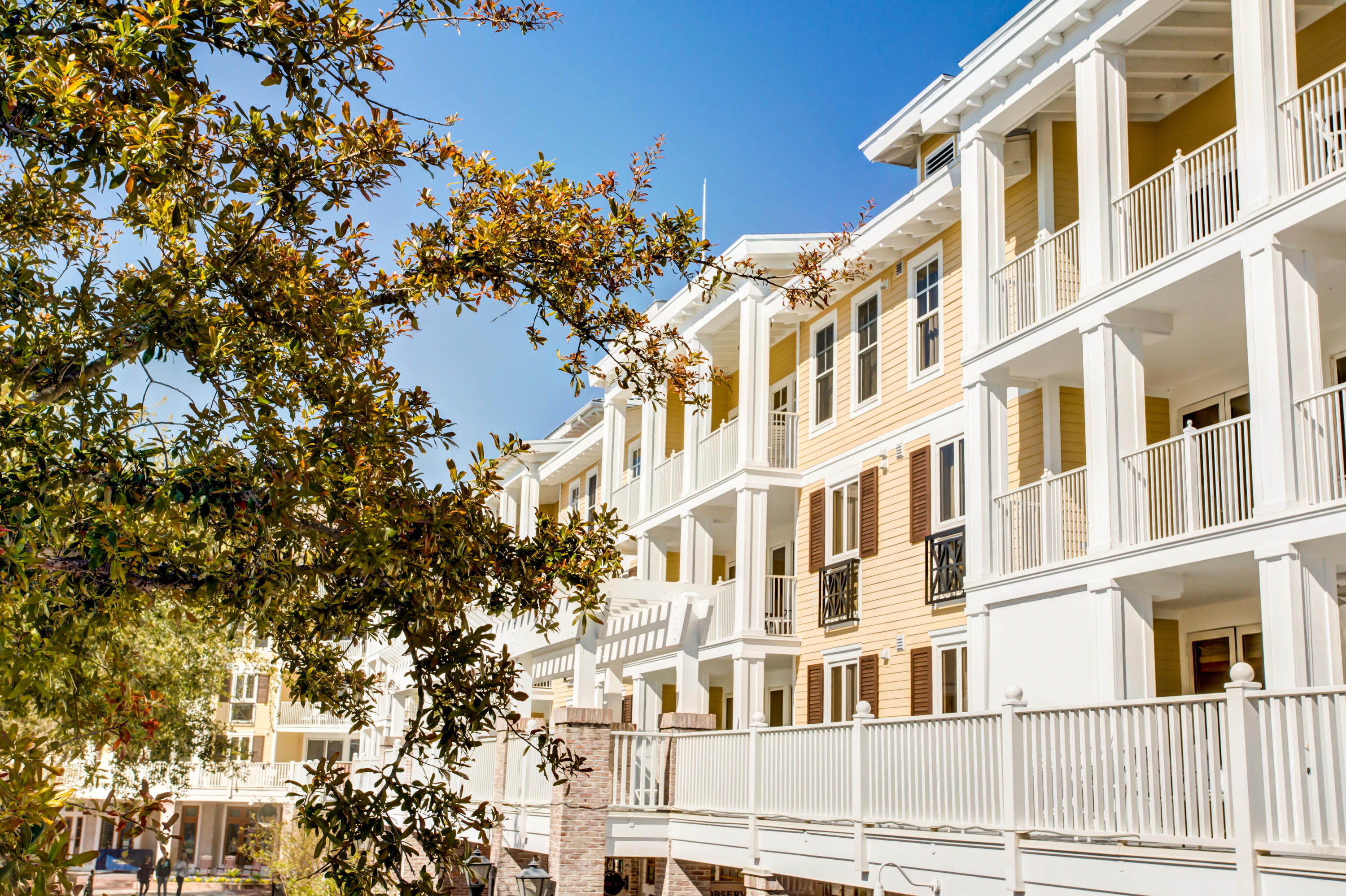 Observation Point - Residential