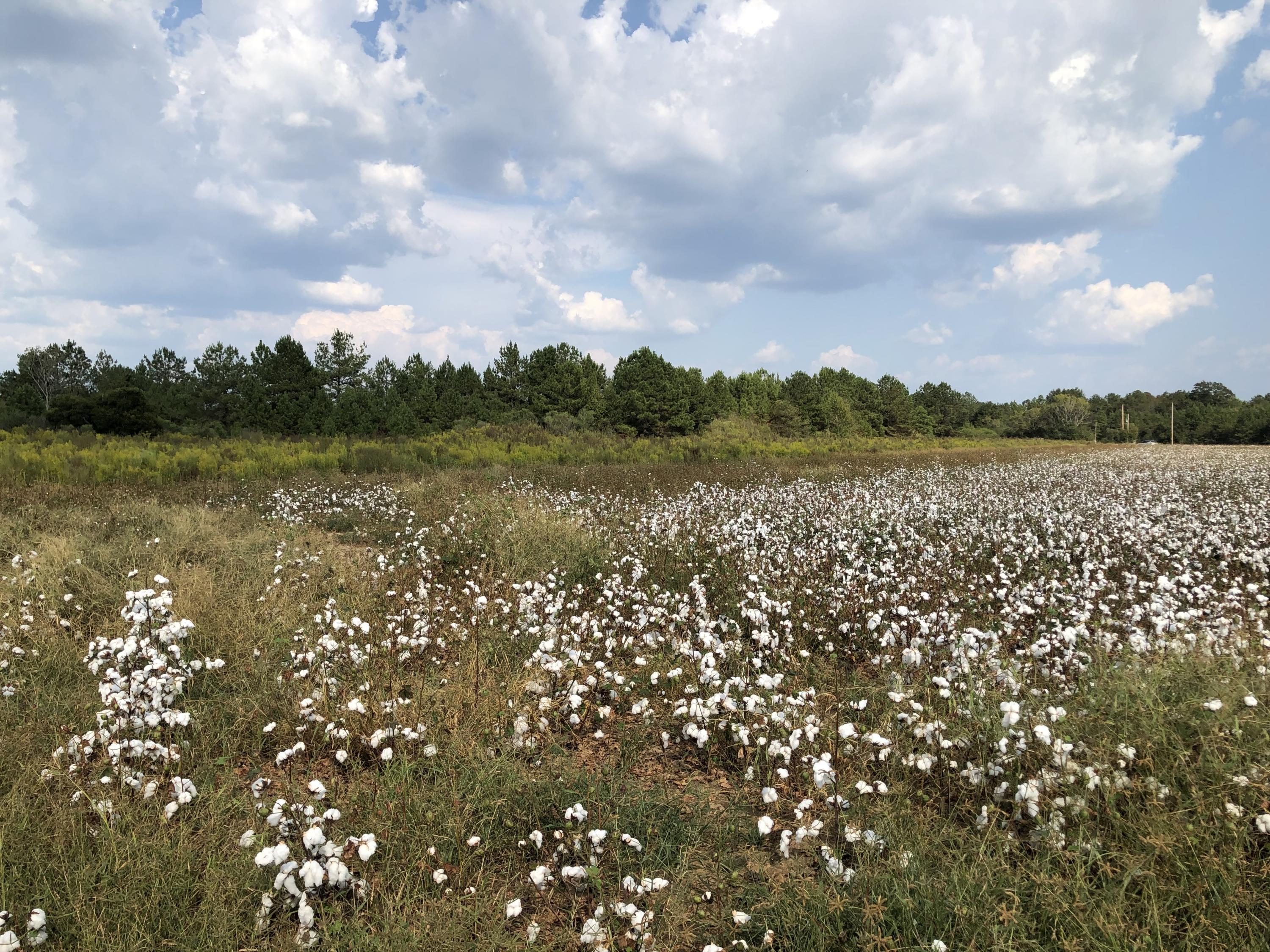 METES & BOUNDS - Farm