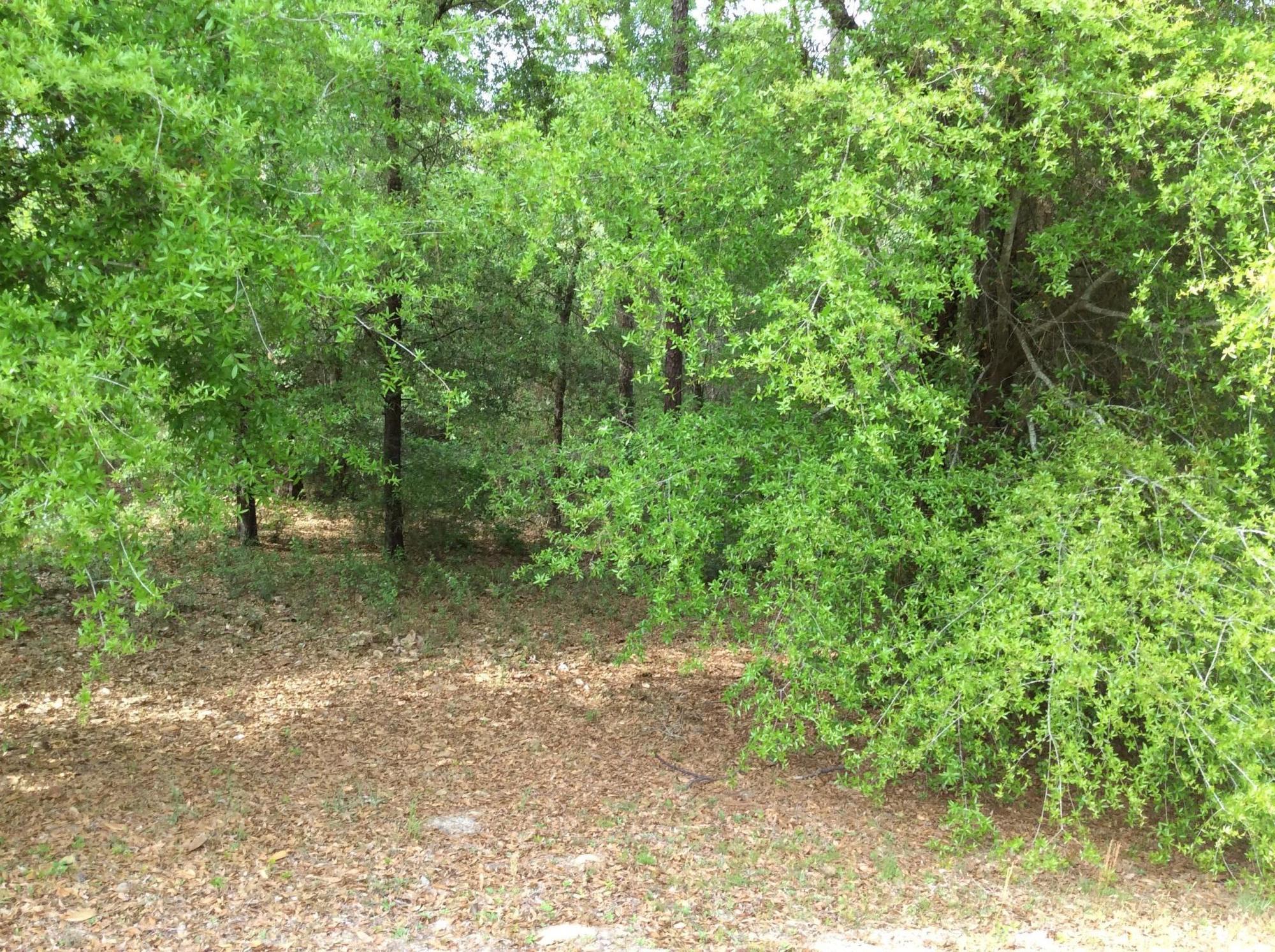 JERNIGAN S/D 2ND ADDN - Residential