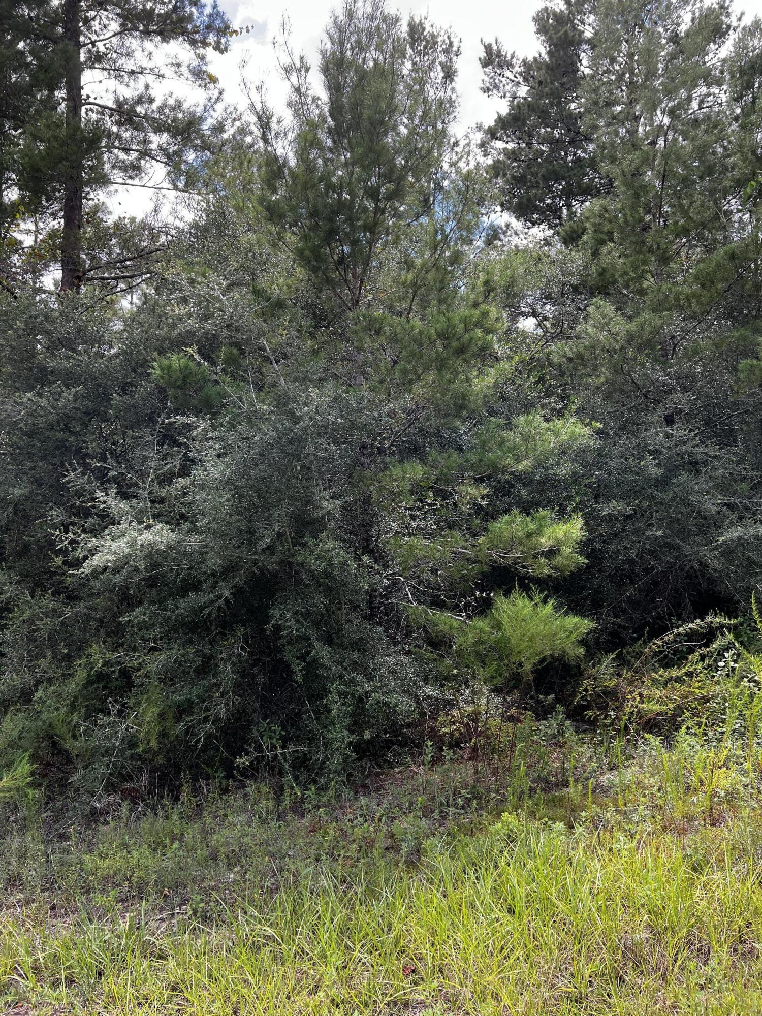 OAKWOOD HILLS UNIT 3 - Land