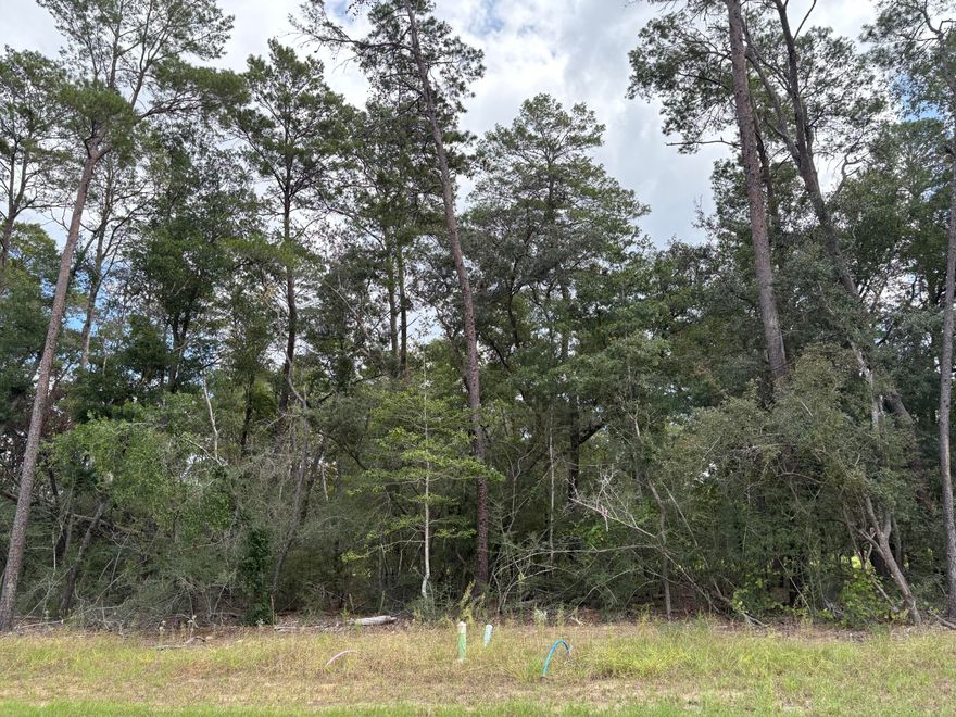 Beautiful lot in the desirable and new Deer Moss Creek Phase 11! Deer Moss Creek(r) is an 1,100- acre, master-planned, mixed-use community in Niceville, FL. Community plans include a nature trail, bike lanes, parks, pools, office and retail space. Sidewalks are 5' wide and home plans must be approved by the Town Architect. Build your dream home in the beautiful Deer Moss Creek community!