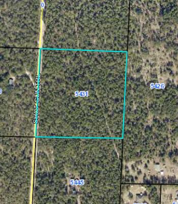 10 acres of beautifully wooded level land. Great location for your dream home, dream ranch and family out door recreation. Bring your building plans, camping gear, hunting gear, ATV's and horses! Come see what this beautiful property has to offer! Power Available. Buyer to verify all information deemed important.