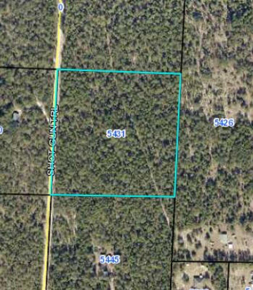 10 acres of beautifully wooded level land. Great location for your dream home, dream ranch and family out door recreation. Bring your building plans, camping gear, hunting gear, ATV's and horses! Come see what this beautiful property has to offer! Power Available. Buyer to verify all information deemed important.