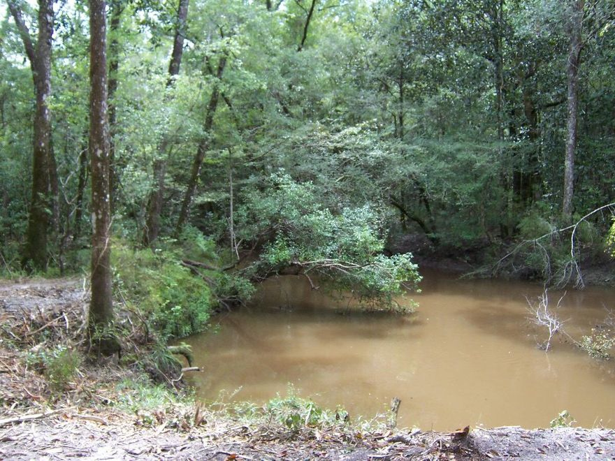 Almost 6 beautiful acres on high bank Bruce Creek with a new septic tank, power Pole, deep well, and newly constructed 12x30 building. Super private beautiful waterfront property on Bruce Creek only minutes from the beach and close to both Freeport and DeFuniak. Property is mostly cleared in the center with a buffer of beautiful hardwood forest. Must see!!!