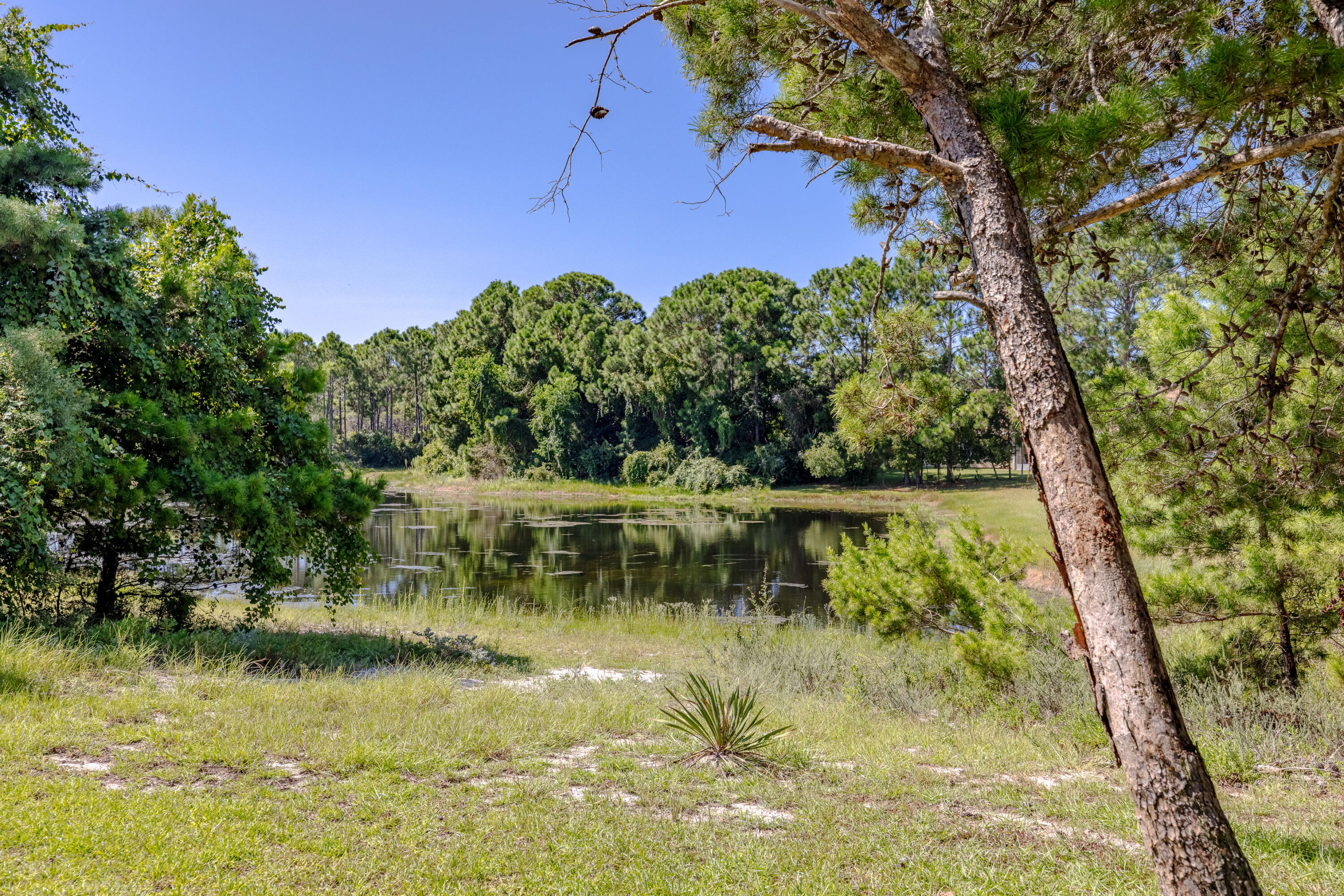 Palmetto Trace Phase 2 - Residential
