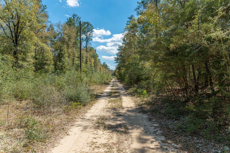 Imagine your ideal homestead on this expansive 16.33-acre parcel in Northwest Florida! Located off Highway 90 on Wildwood Lakes Drive, this high and dry land offers incredible space and privacy for your dream retreat.With readily available power and agricultural zoning, envision crafting your perfect home or simply enjoying the freedom this acreage provides. A recent survey and a completed Lot of Record are available for your review. The Lot of Record confirms this parcel's legal status and allows for a residential density of one unit per 2.5 acres, with the flexibility to cluster units. If you're seeking a substantial, customizable slice of Northwest Florida, this could be it. Explore the possibilities!